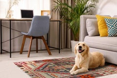 Turkey Anatoly Small Rug - Cotton Blue Ivory Pink Red Design