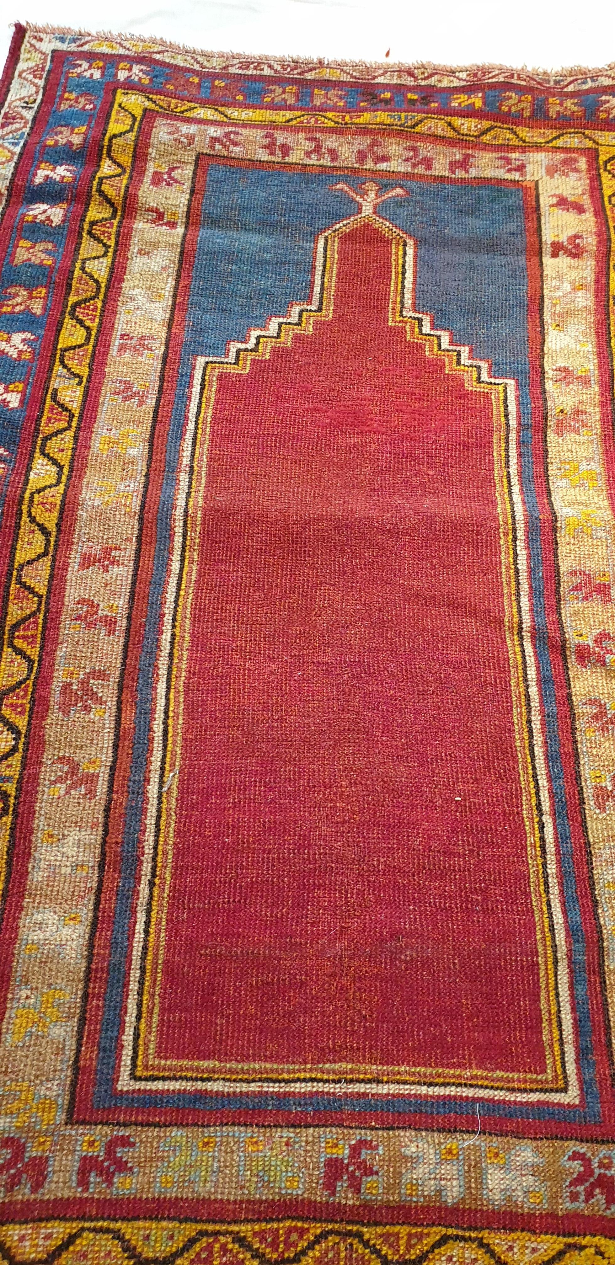 coral rug