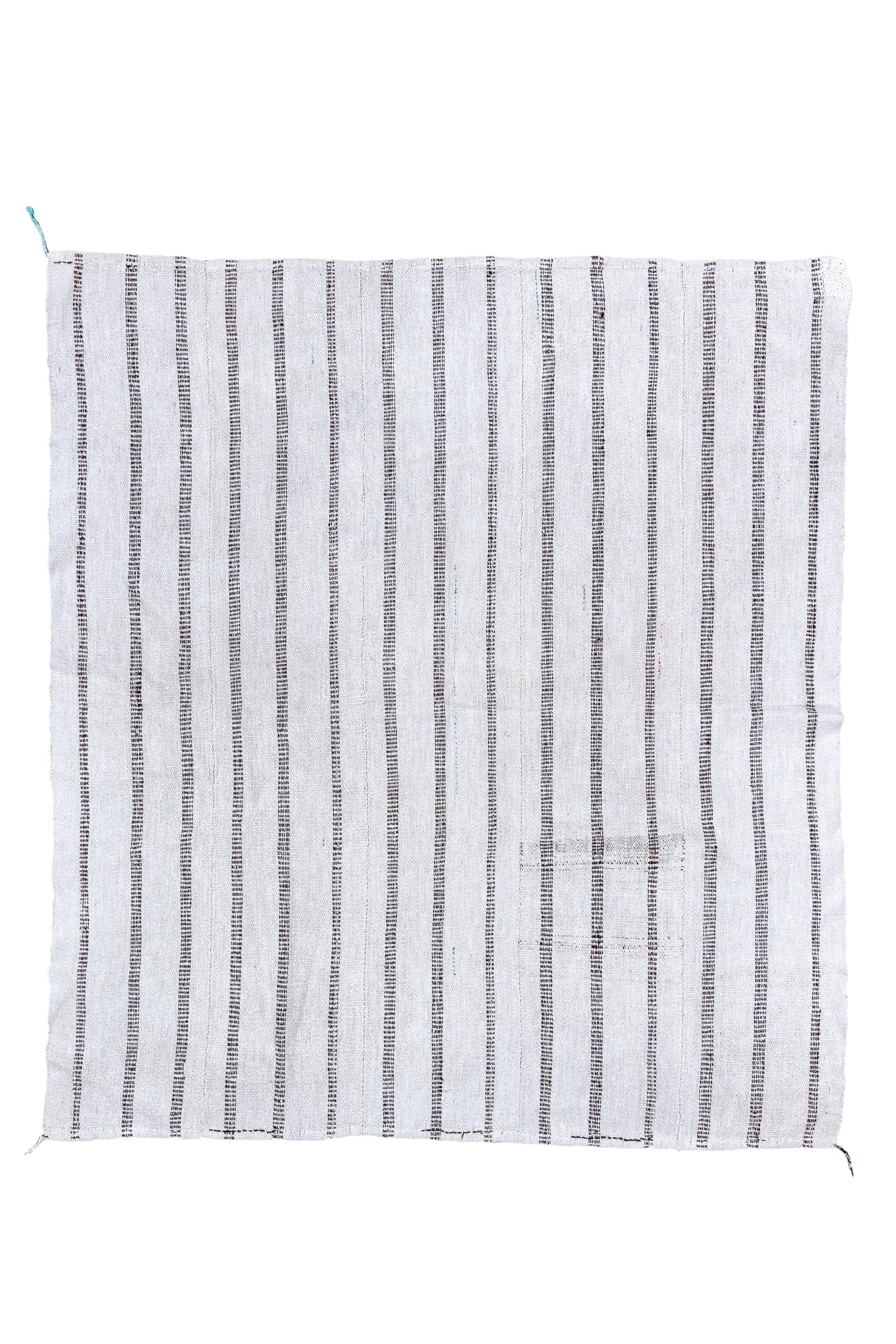 This versatile pileless flatweave, shows a cream field with a well-spaced vertical stripe pattern. Each stripe is composed of short, tiny dashes.  Adjustable dimensions. As new condition with wool facing wefts.

Rug Size
4'8x5