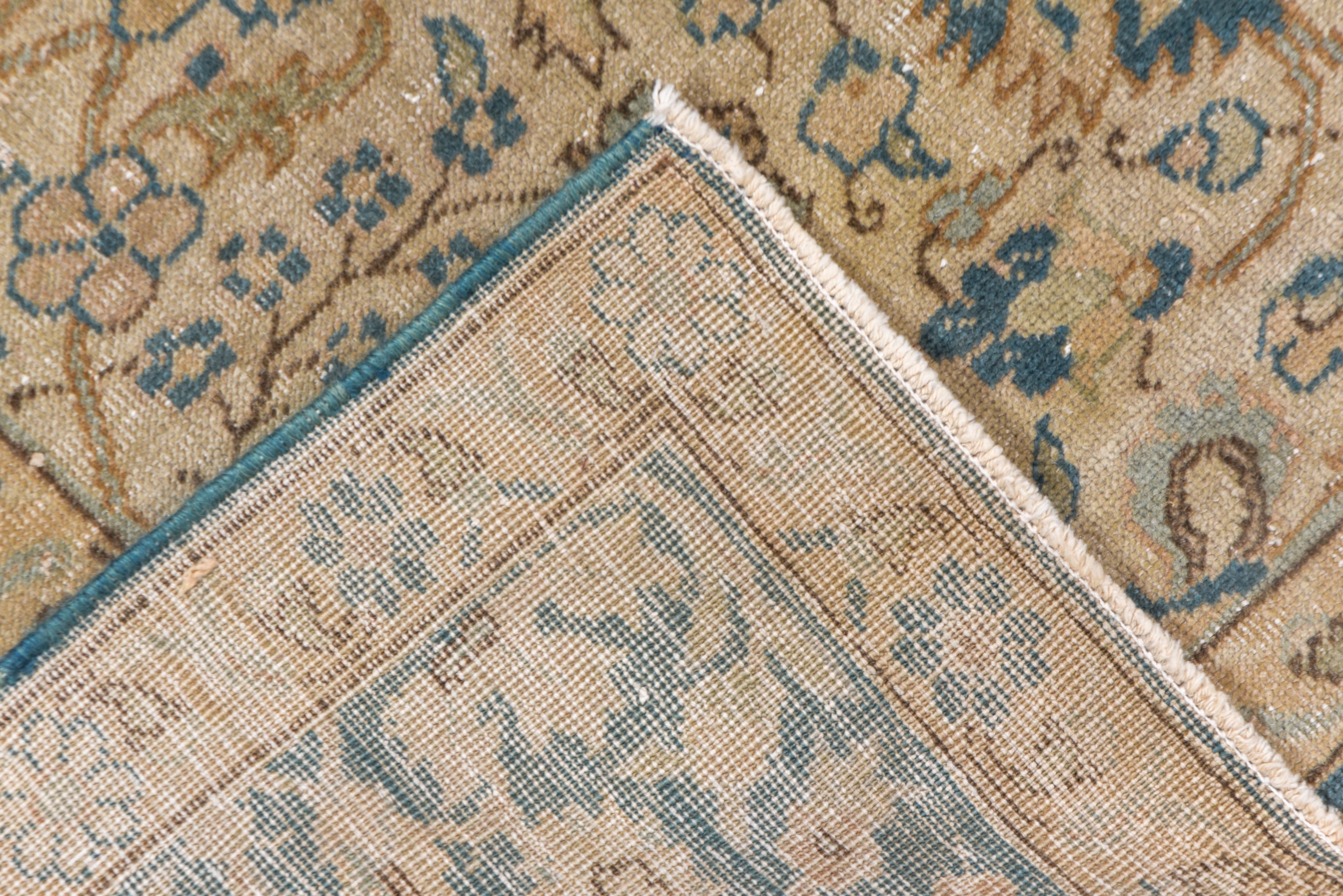 Mid-20th Century Turkish Sivas Carpet, Light Brown Field Field & Blue Borders For Sale