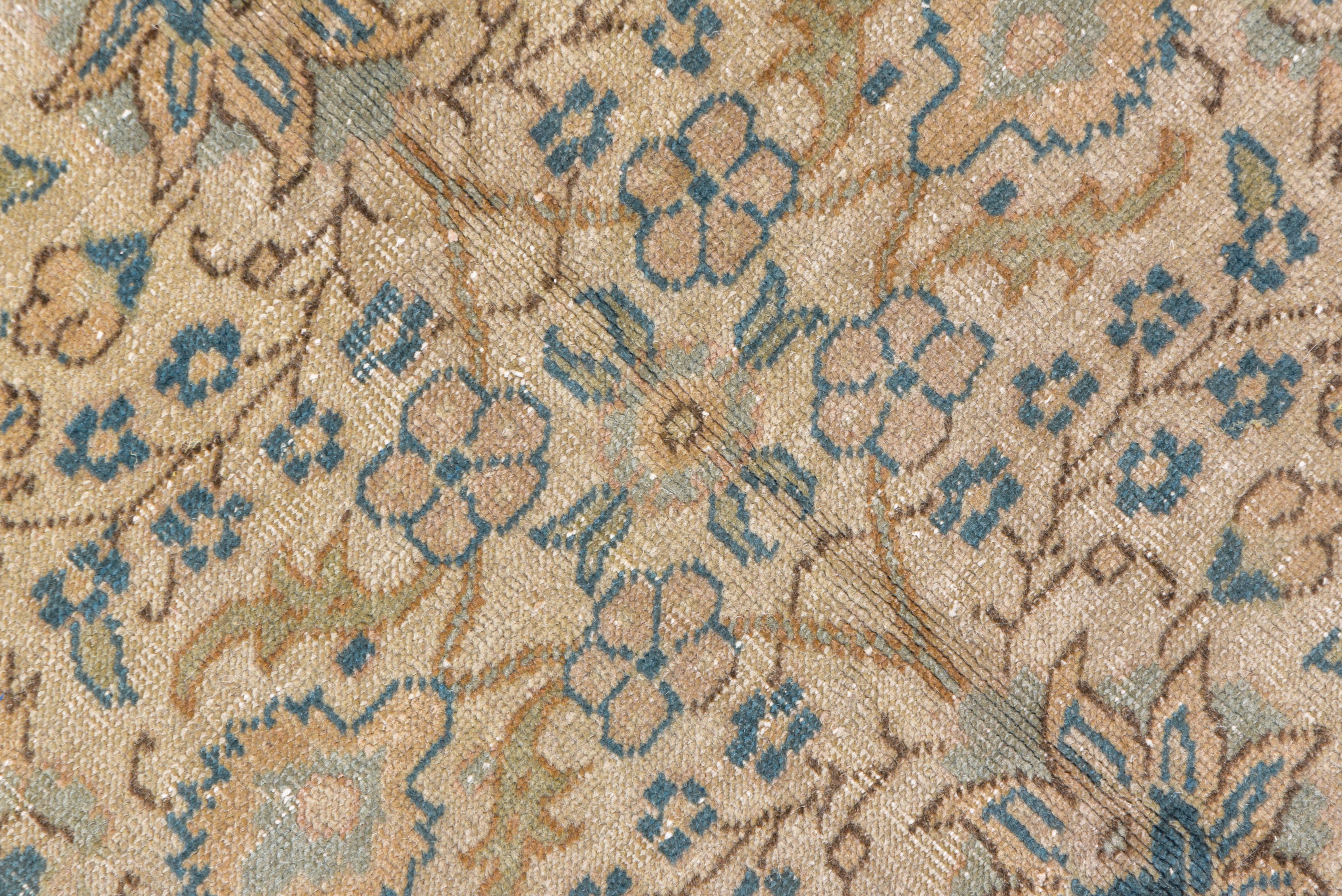 Turkish Sivas Carpet, Light Brown Field Field & Blue Borders For Sale 1