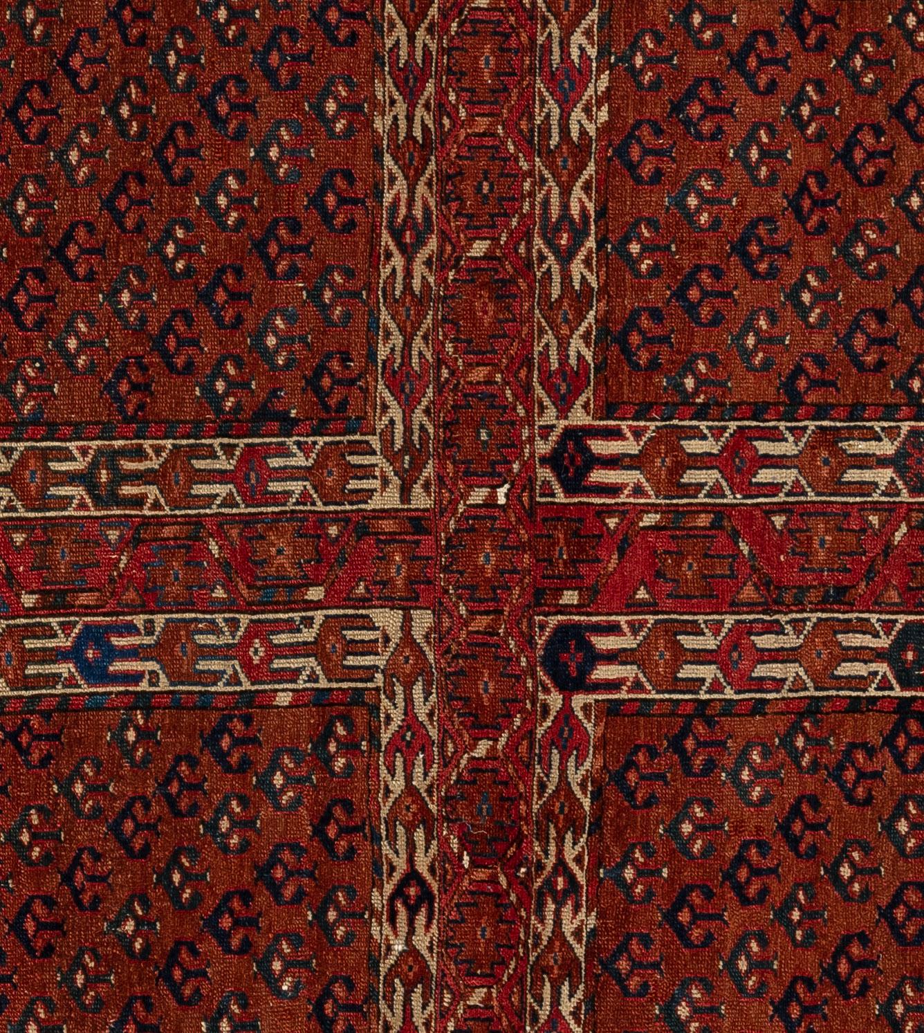 Turkmeno Turkman in vendita