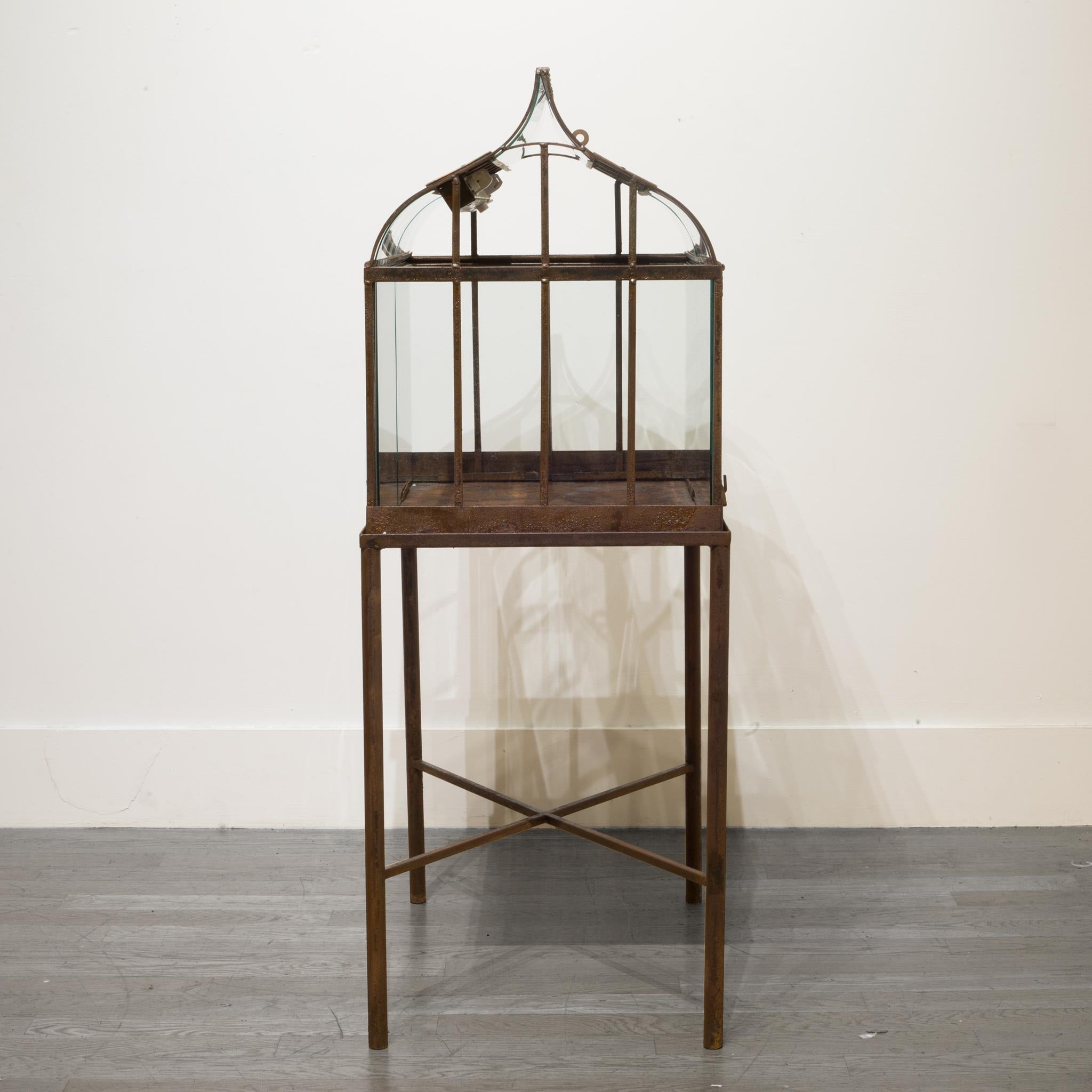 American Turn of the Century Antique Wrought Iron Wardian Case on Stand, circa 1900