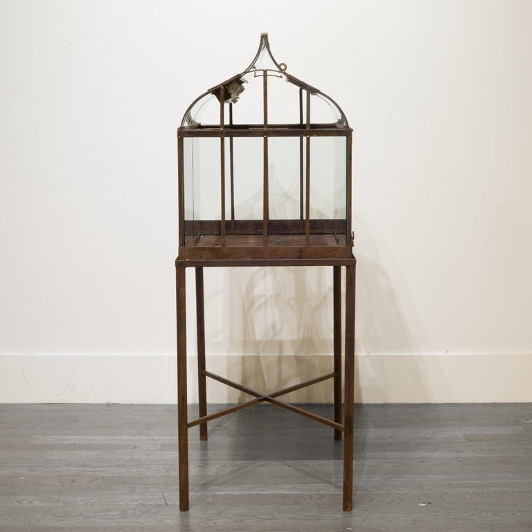 Turn of the Century Antique Wrought Iron Wardian Case on Stand, circa