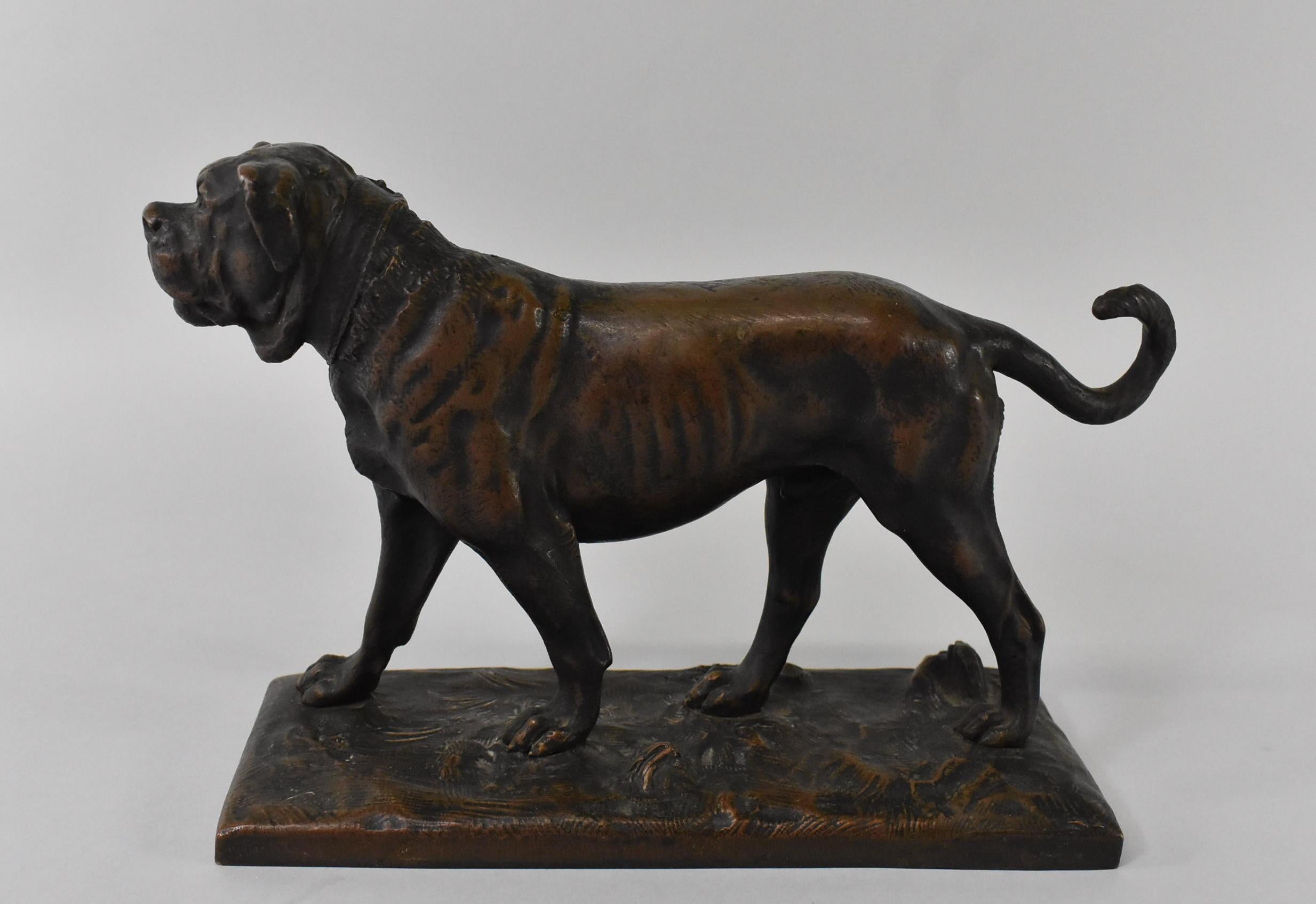 Turn of the century cast bronze standing mastiff dog statue. Great old patina.