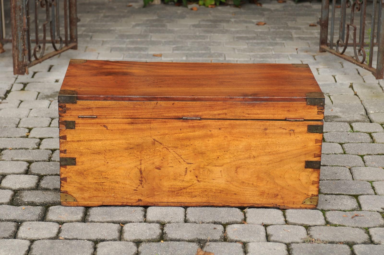 Turn of the Century English Camphor Wood Box with Brass Accents, circa 1900 3