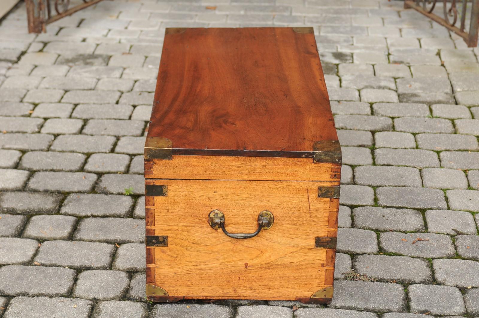 Turn of the Century English Camphor Wood Box with Brass Accents, circa 1900 4