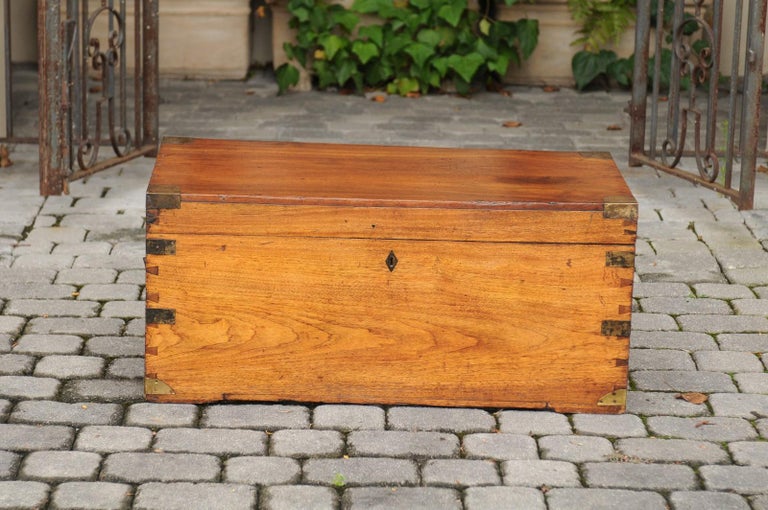 A large English camphor wood box with brass accents from the early 20th century. Born during the Turn of the century, this English camphor wood trunk features a rectangular lid accented with brass braces, that opens to reveal a convenient storage