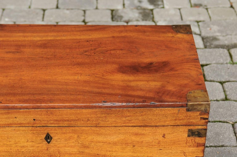 Turn of the Century English Camphor Wood Box with Brass Accents, circa 1900 1