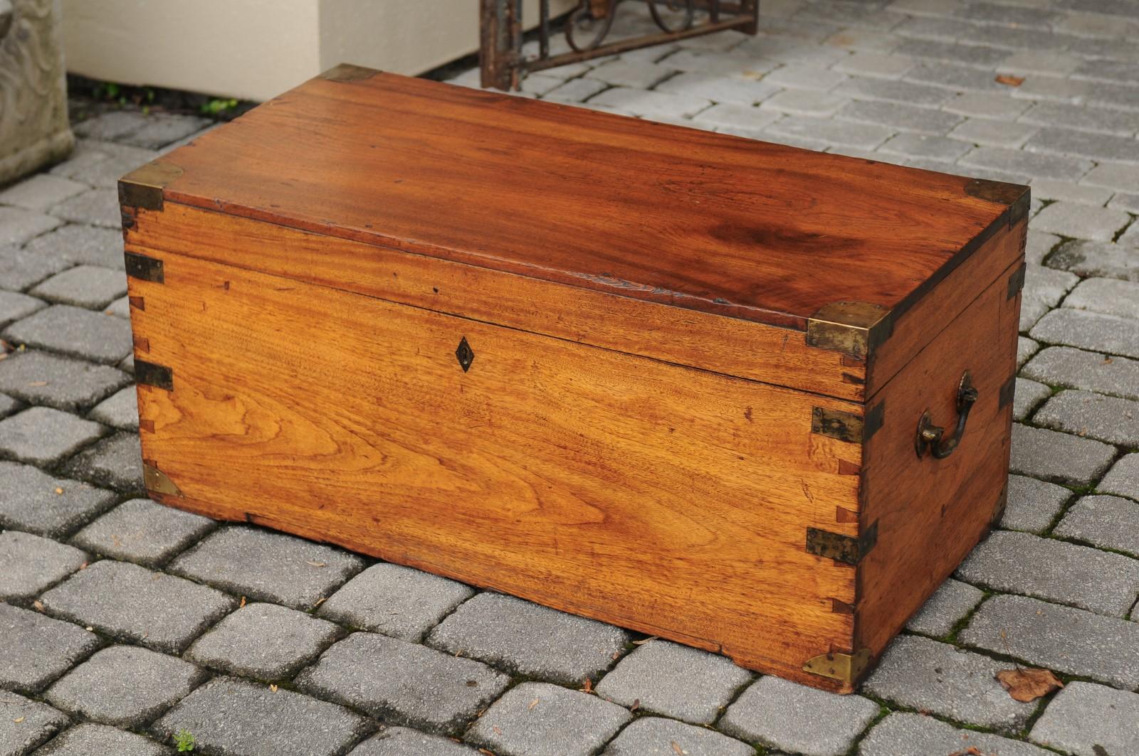 20th Century Turn of the Century English Camphor Wood Box with Brass Accents, circa 1900