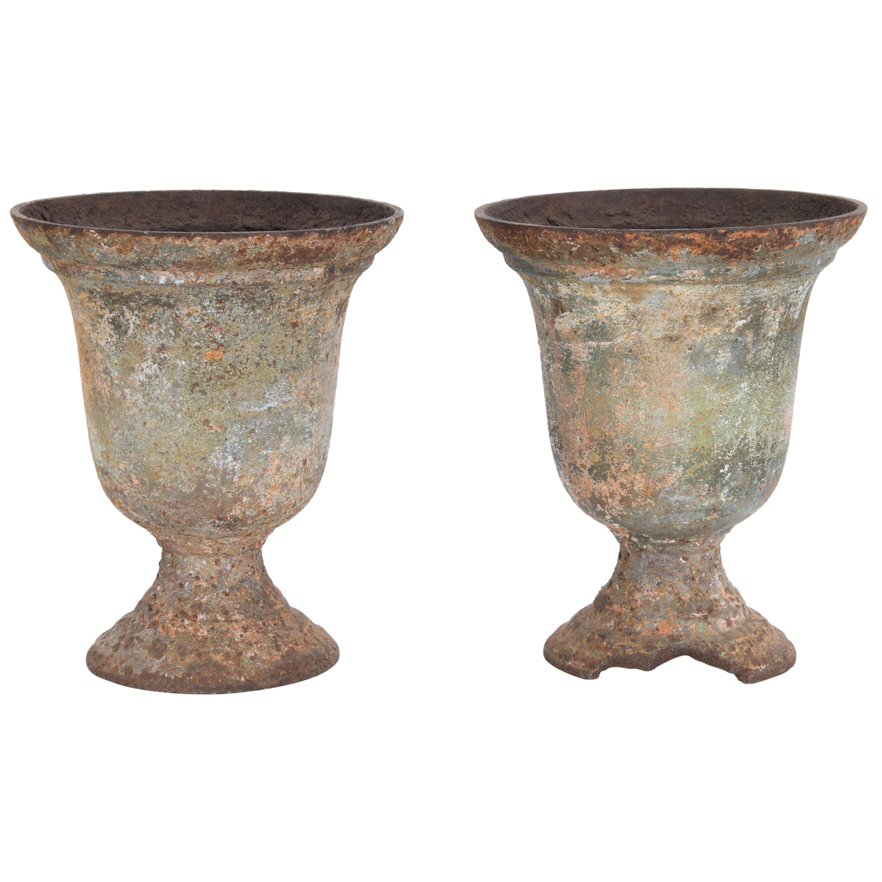 Turn of the Century French Cast Iron Planters, a Pair