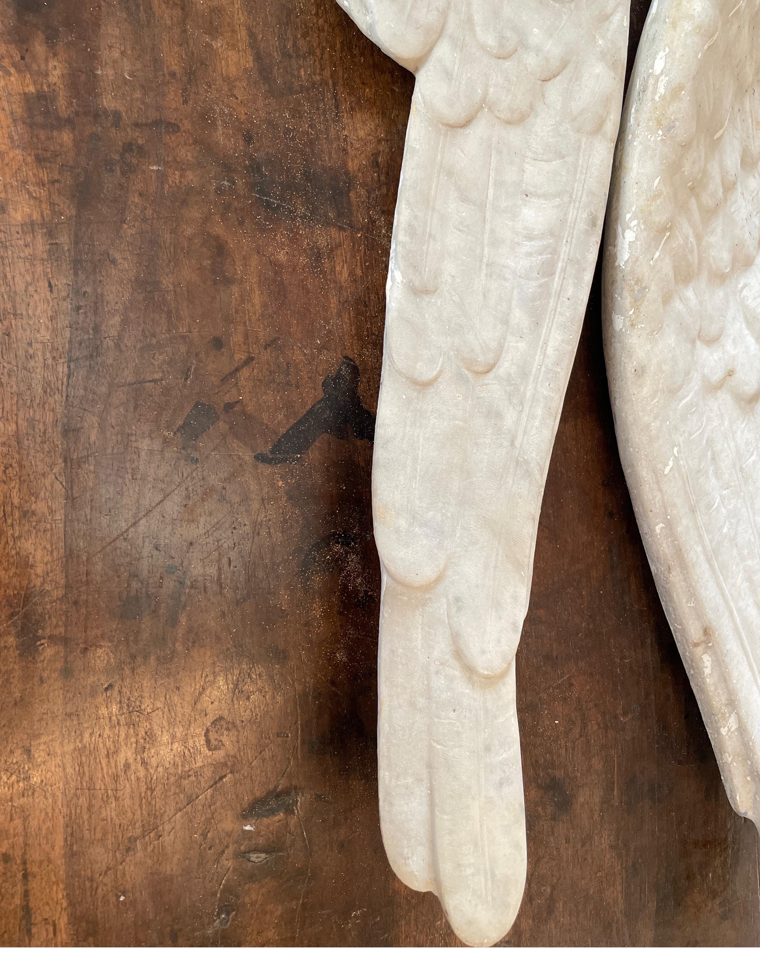 These Italian marble wings are so beautiful and nicely carved out of carrera marble. The details of the feathering is even prettier in person. They would make a conversation piece on a coffee table or great center piece on a dining table as well as