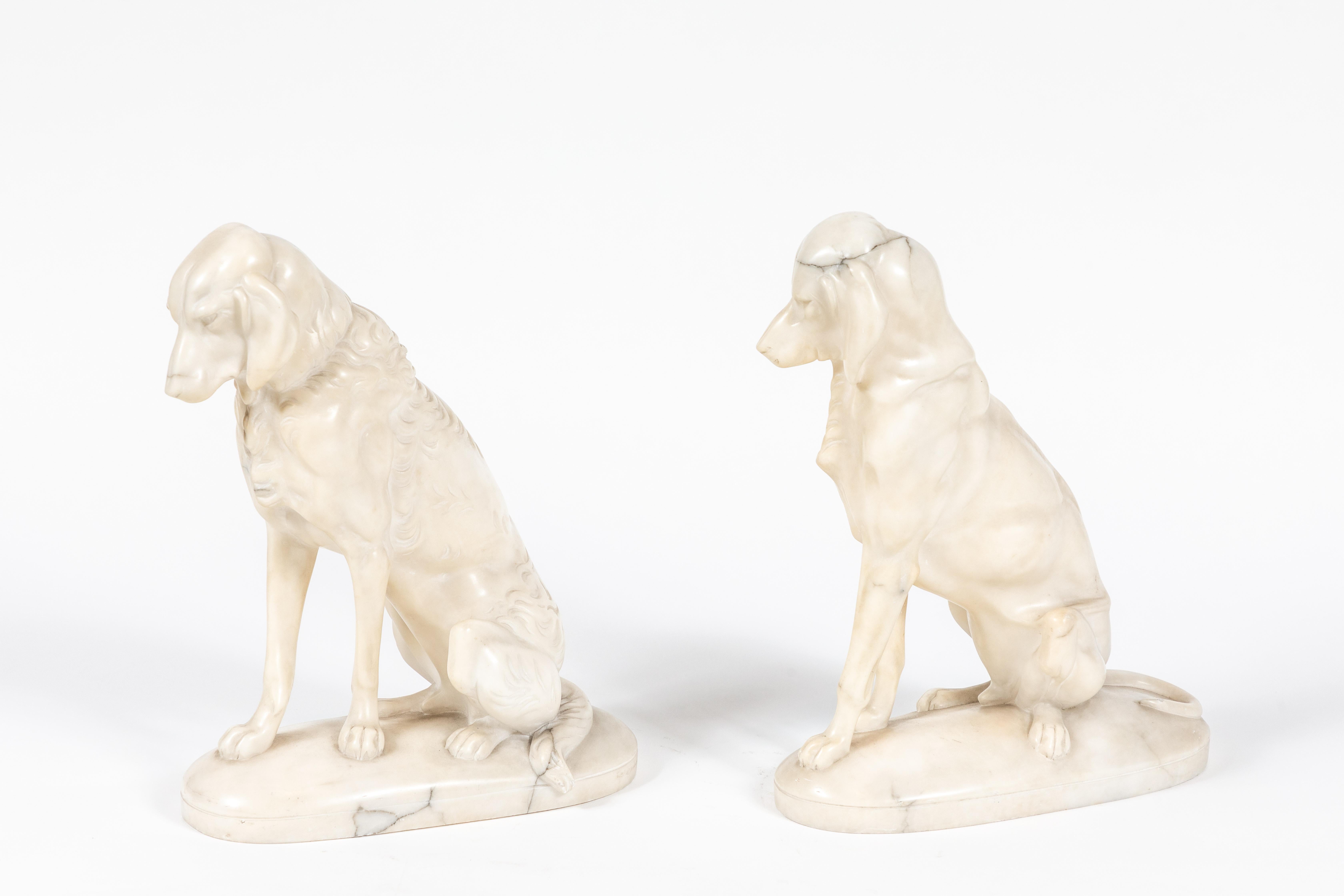 Paire de chiens de chasse assis, gauche et droite, en marbre de Carrare italien, magnifiquement sculptés sur des bases du même type.