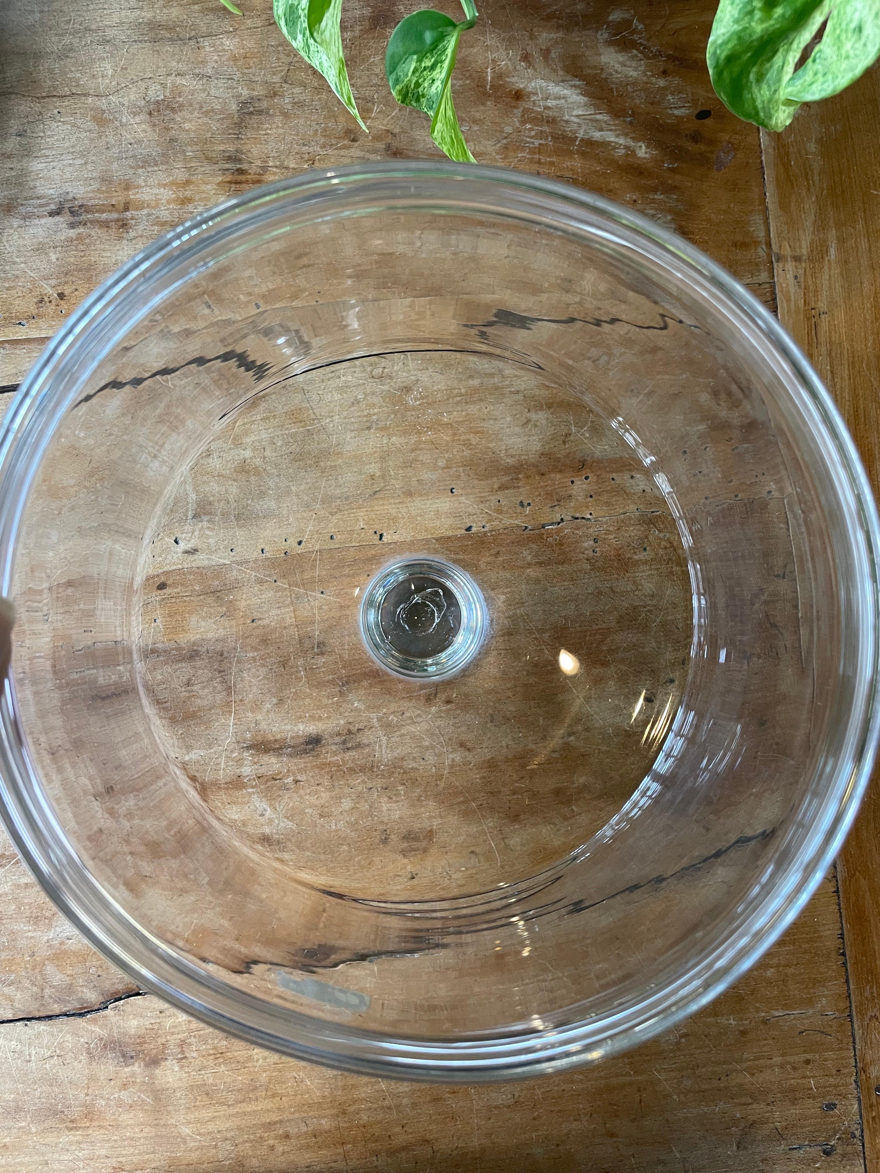Turn of the Century Pittsburgh Glass Cake Dome 2