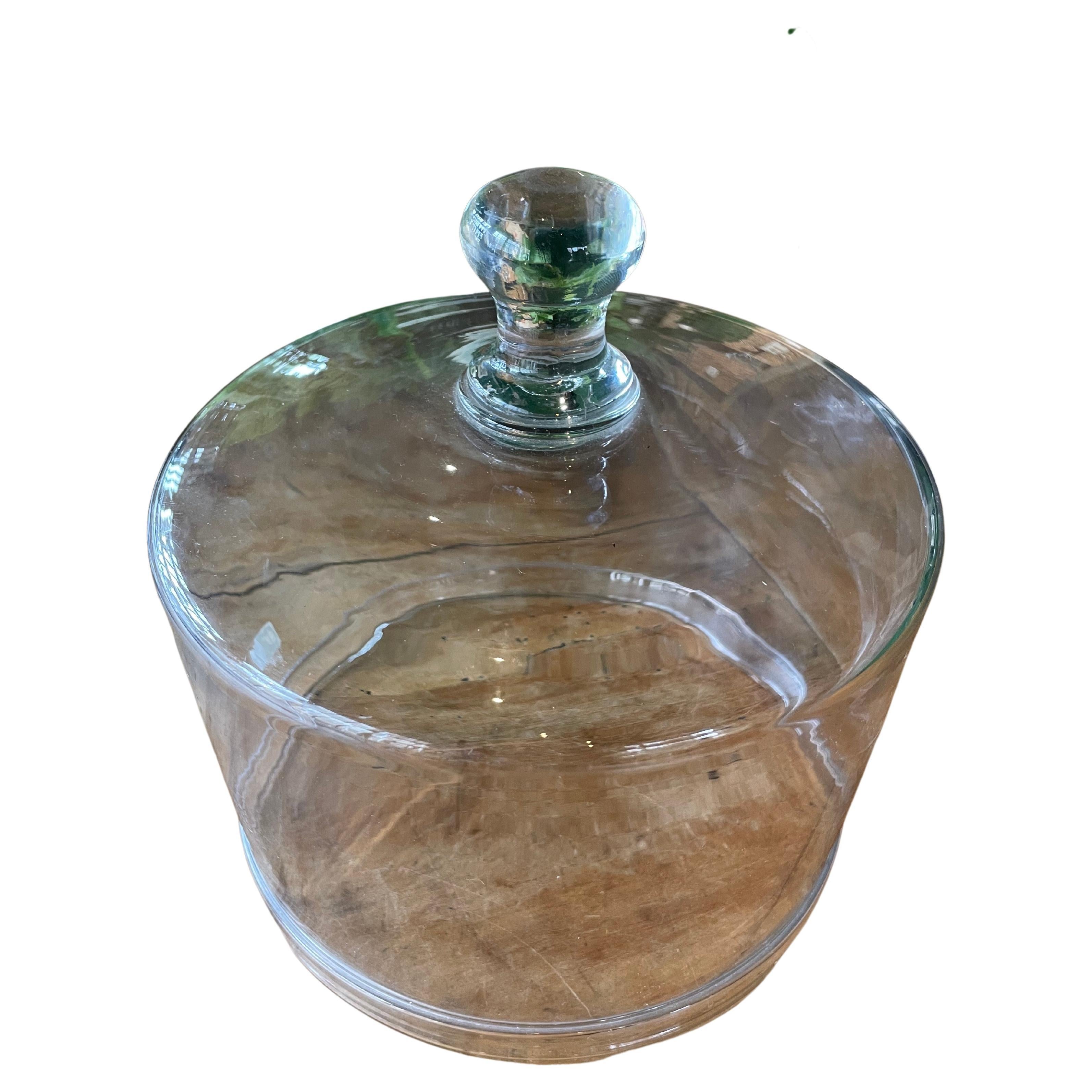 Turn of the Century Pittsburgh Glass Cake Dome