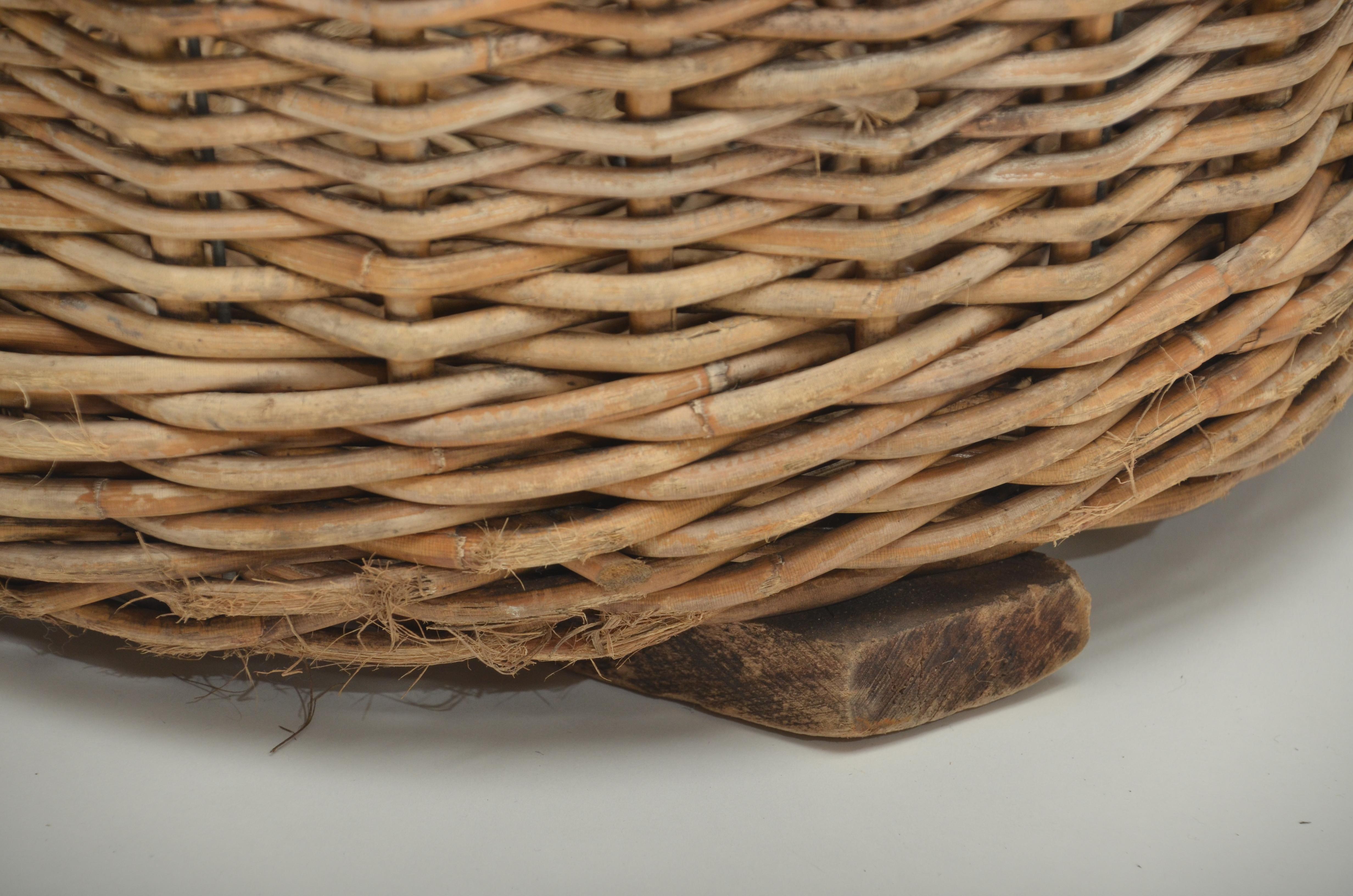 Wicker fish baskets from the south of France.