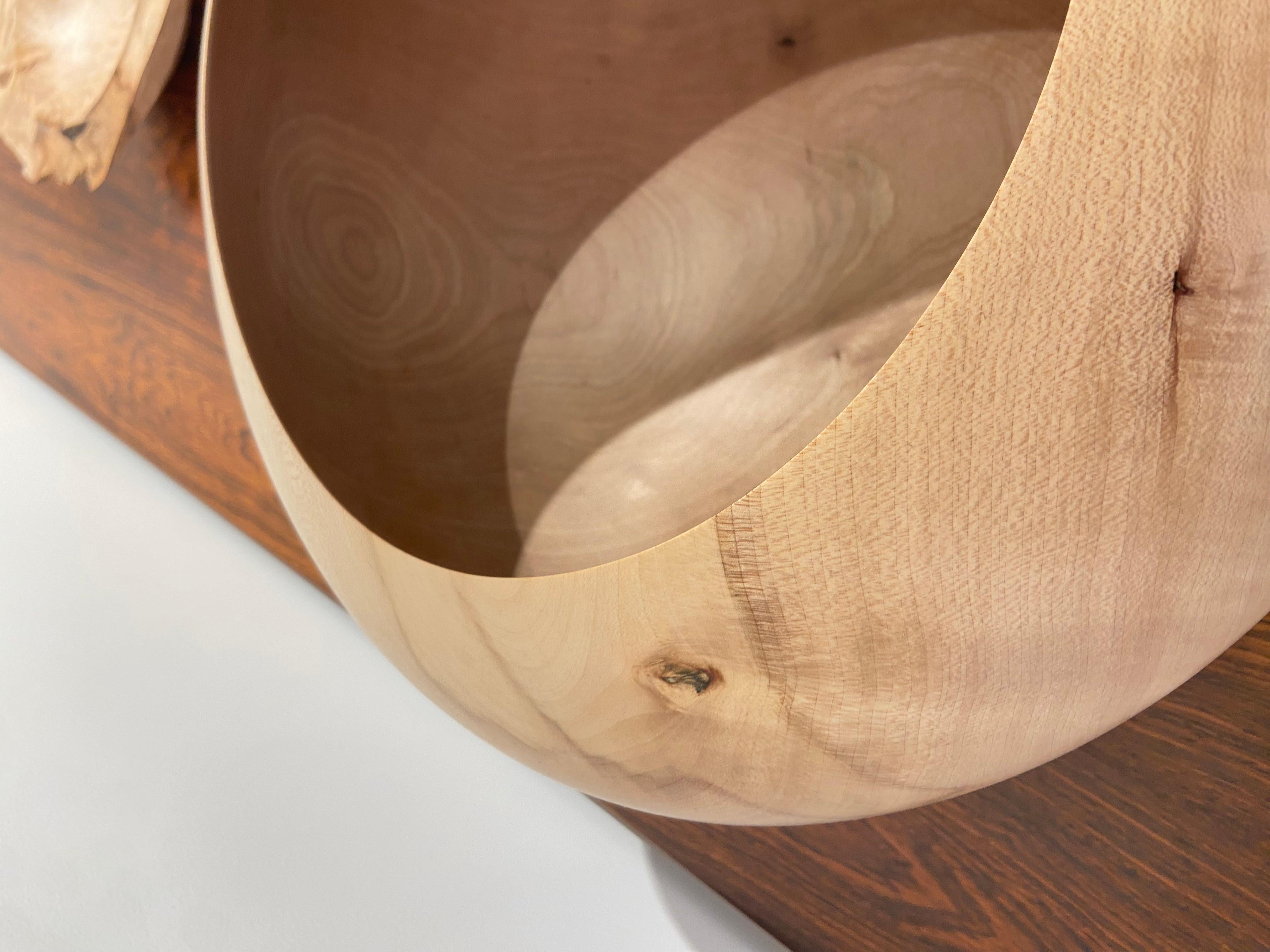XXI secolo e contemporaneo Tazza in Wood tornito di Ralph Ribour in vendita