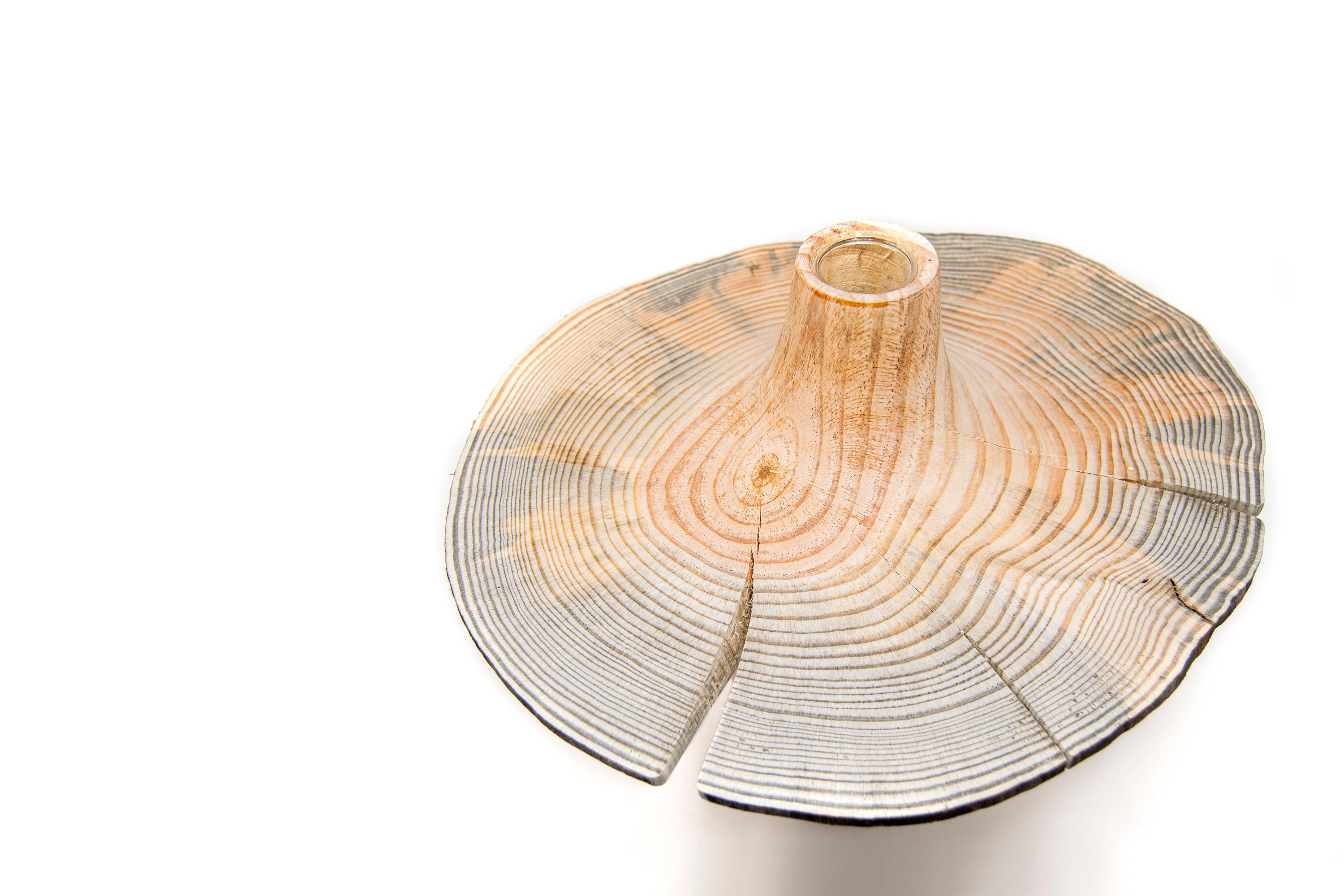 Turned Wood Pine Vase 'Sinfonia Up Natural' Made in Italy In New Condition For Sale In Milan, IT