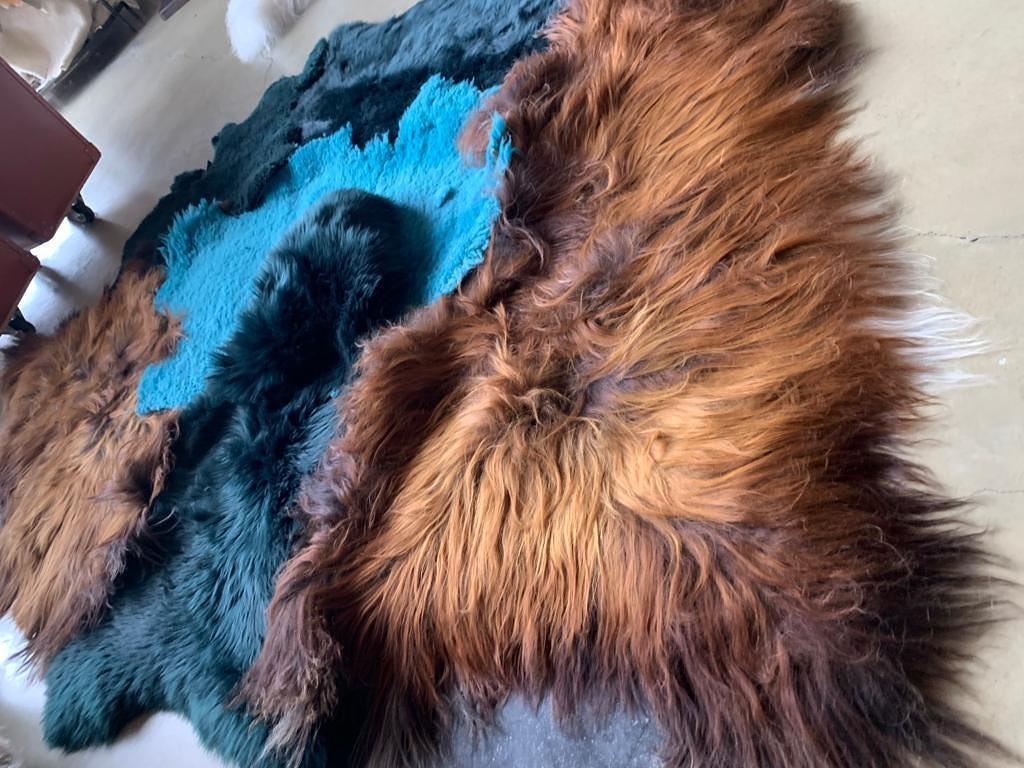 carine boxy rugs