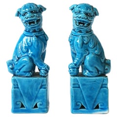 Turquoise Blue Lion Foo Dogs