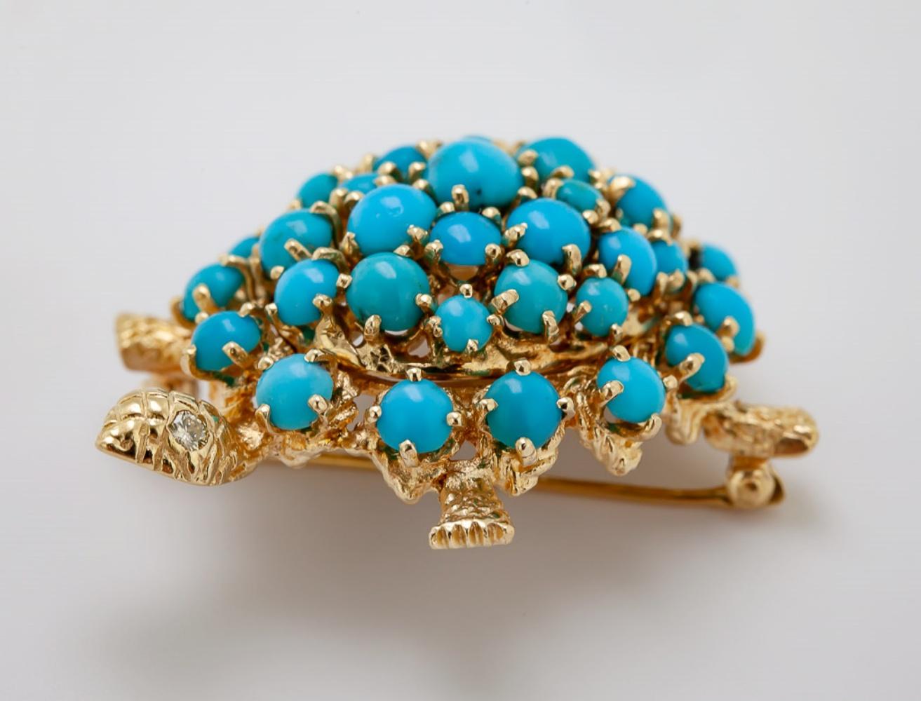 turquoise turtle