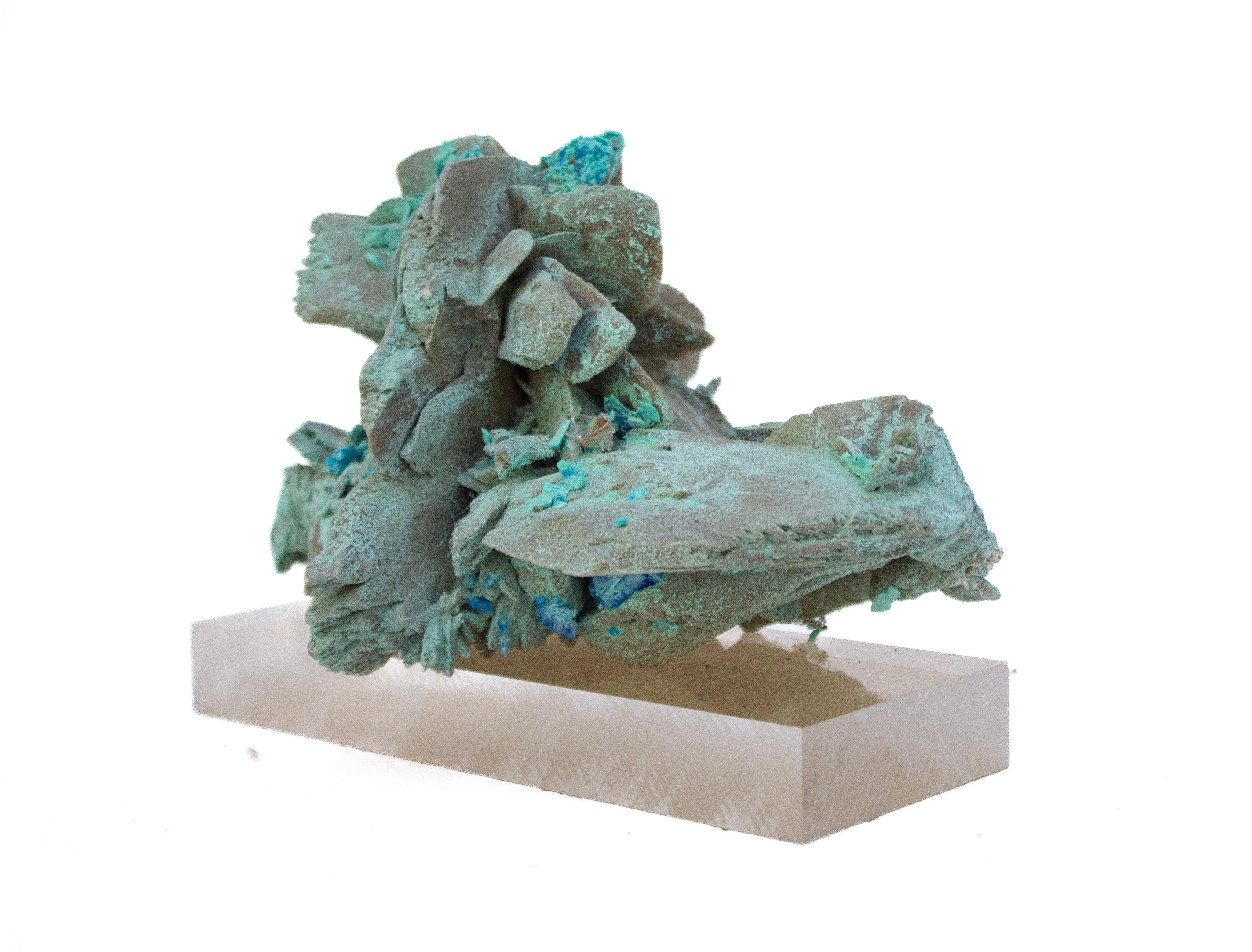 Organic Modern Turquoise 