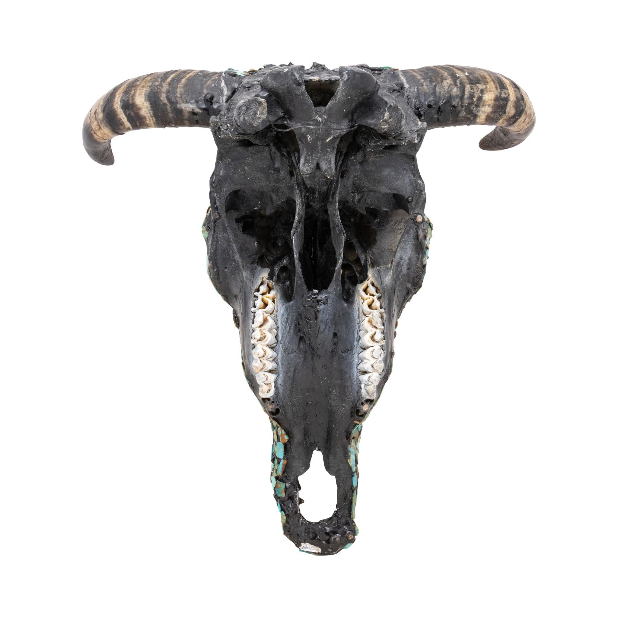 Crâne de bœuf incrusté de turquoise. Pierres de turquoise Kingman naturelles dans des couleurs vertes et bleues avec une belle matrice dorée et brune. Chaque pierre est parfaitement taillée pour s'insérer en mosaïque sur le crâne, qui a été peint en