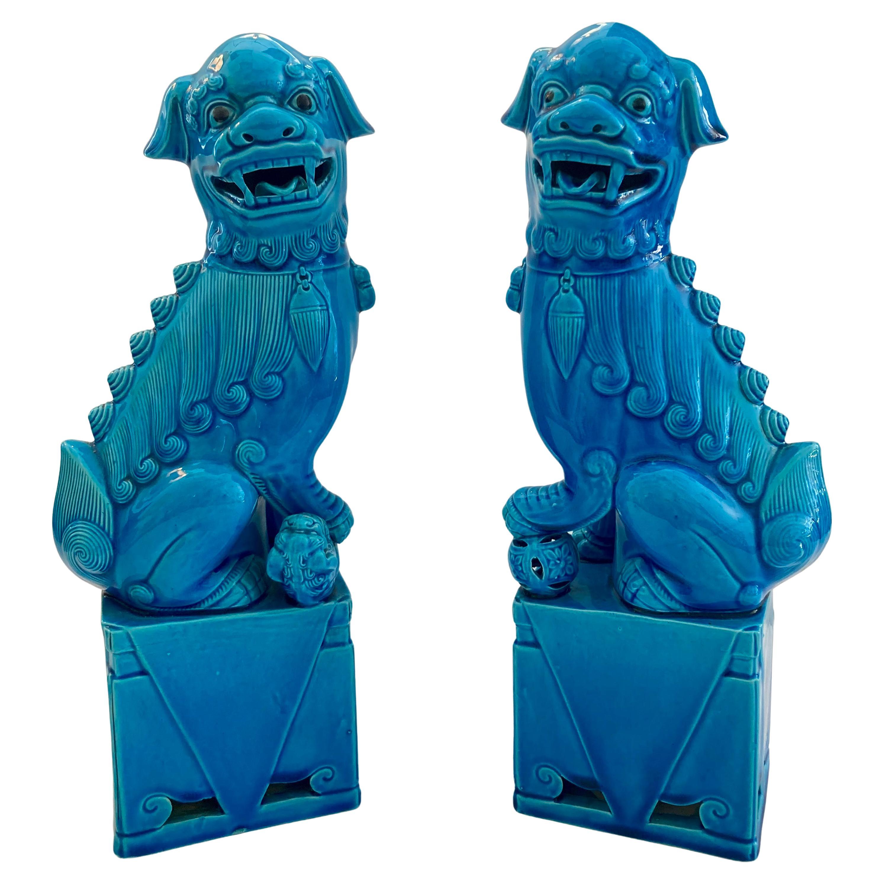 Turquoise Glazed Porcelain Foo Dogs Large, a Pair For Sale