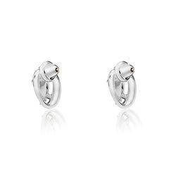 Silver Turtle Earrings