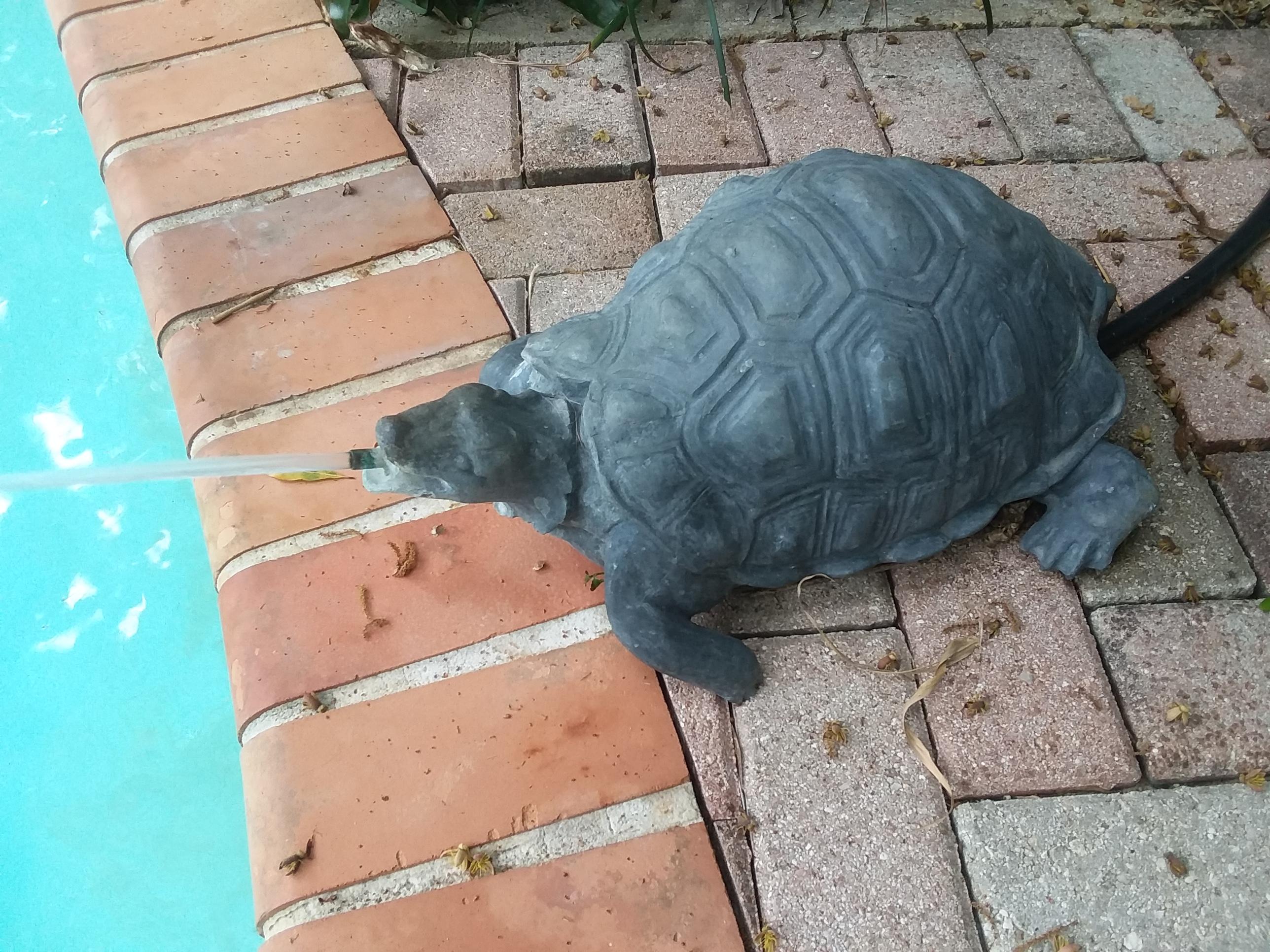 American Turtle Fountain For Sale