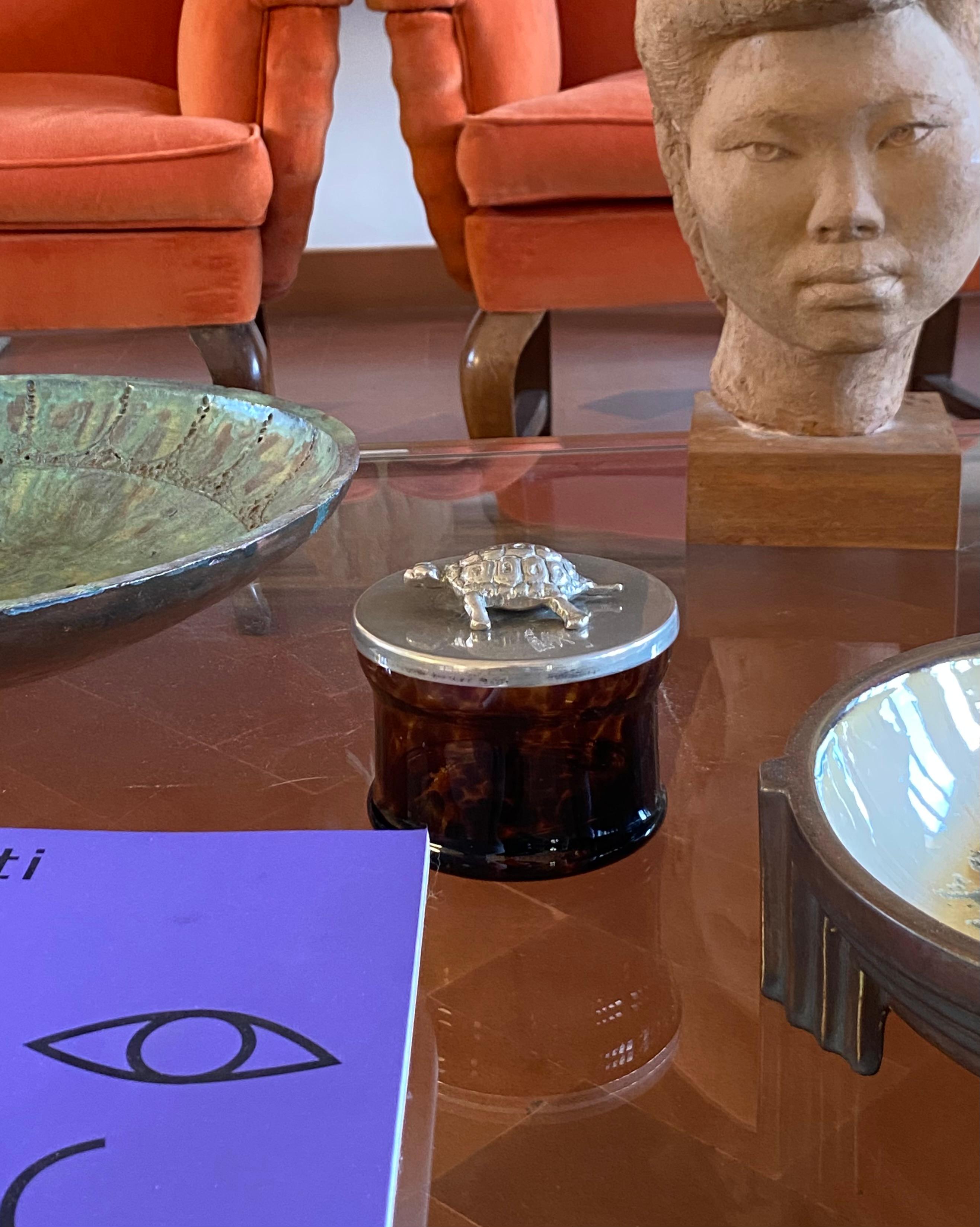 Turtle glass Box, France 1970s en vente 6