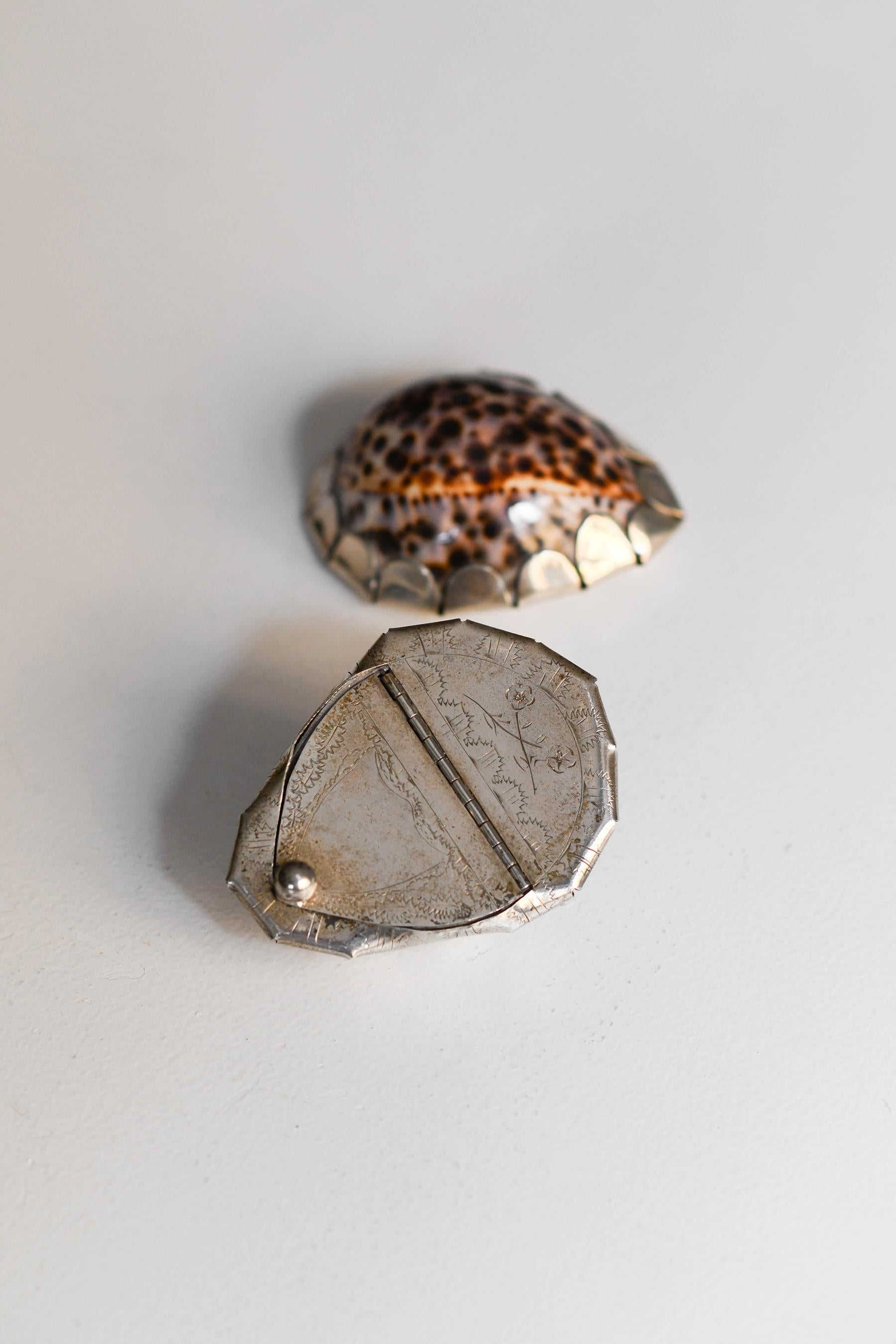 Taschentuch „Turtle“ von Gabriella Crespi aus silbernem Metall und Muschel (Ende des 20. Jahrhunderts) im Angebot