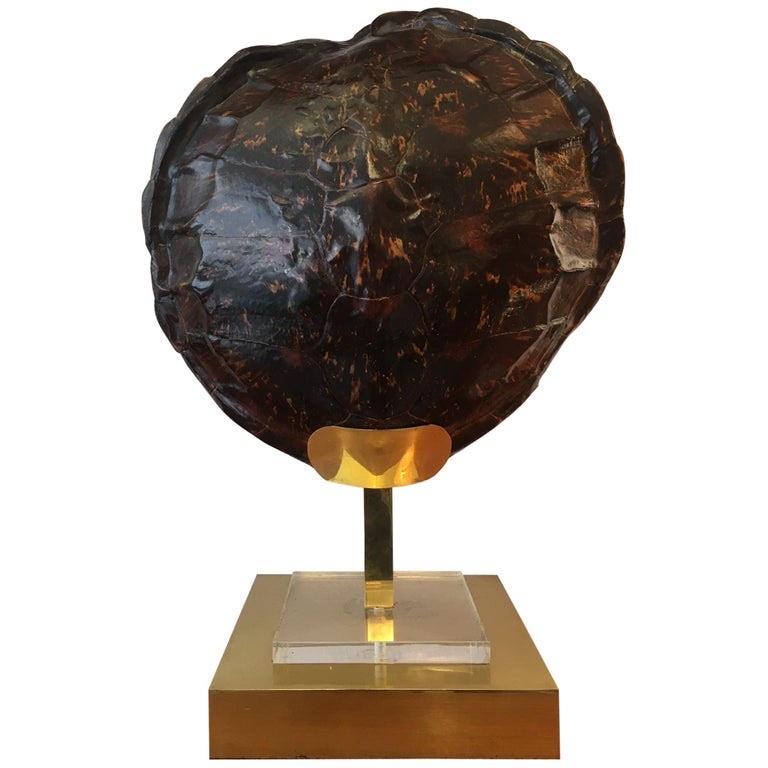 Beautiful Tortoise turtle shell mounted on a brass and acrylic base.
In the style of Willy Daro or Maison Jansen creations.
Very good condition.
H 72 x W 55 x D 30 cm
Standard bulb E27, compatible with LED bulbs.
Export permit.
Beautiful lighting