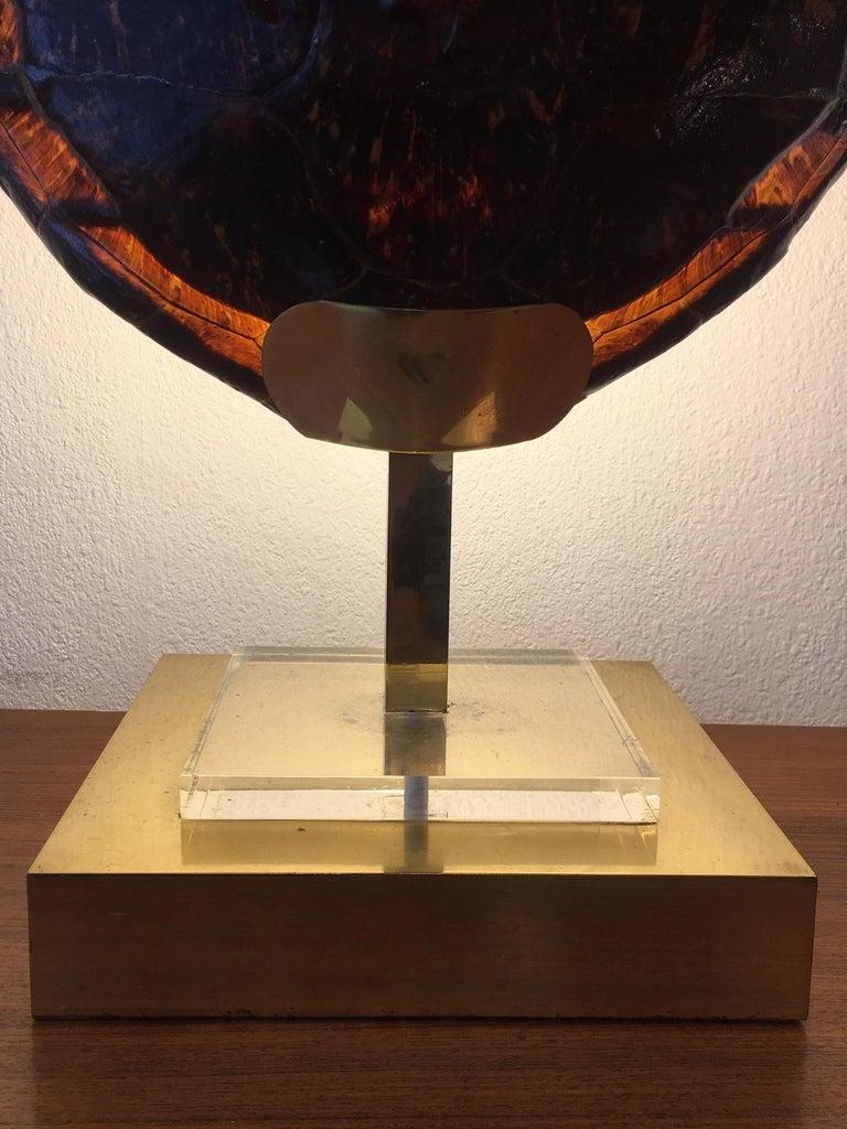 Turtle Shell Lamp ca. 1970s For Sale 3