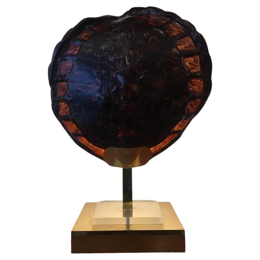 Lámpara de caparazón de tortuga ca. 1970 en venta