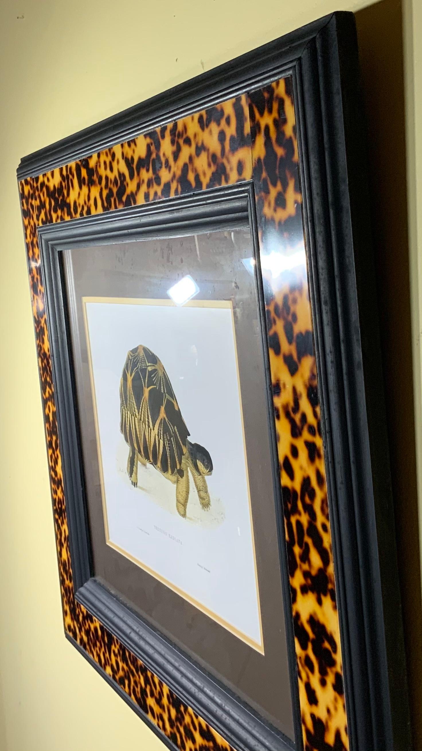 Turtle Shell Lucite Faux Framed Turtle Print 6