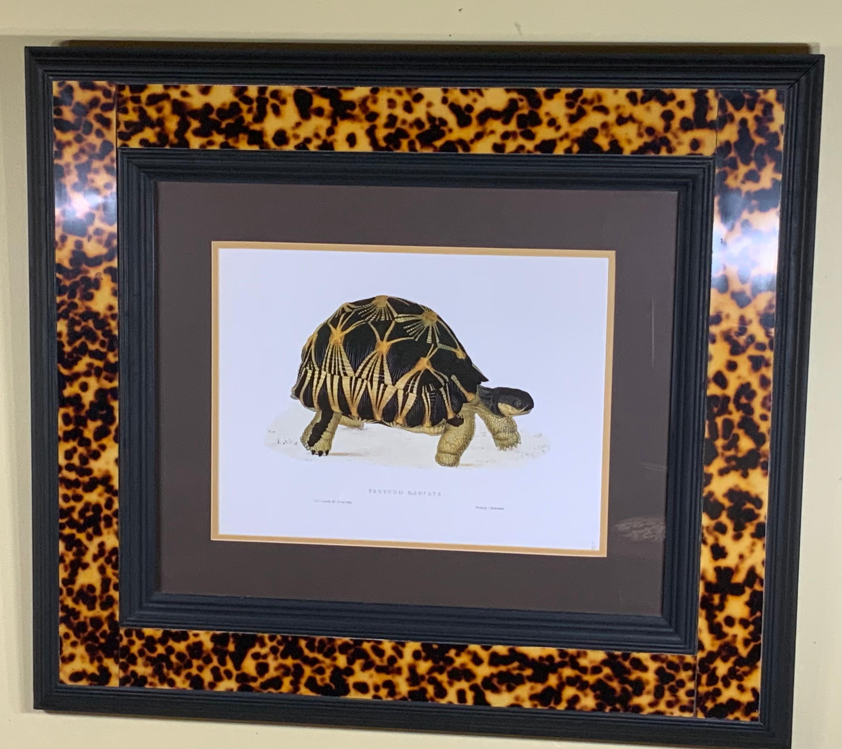 turtle shell wall art