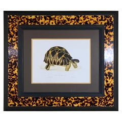 Vintage Turtle Shell Lucite Faux Framed Turtle Print