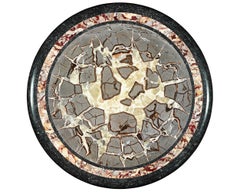 Turtle Stone and Royal Sarracolin Marble Parcel Gilt Table