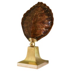 Turtle table lamp with brass base, 1970s