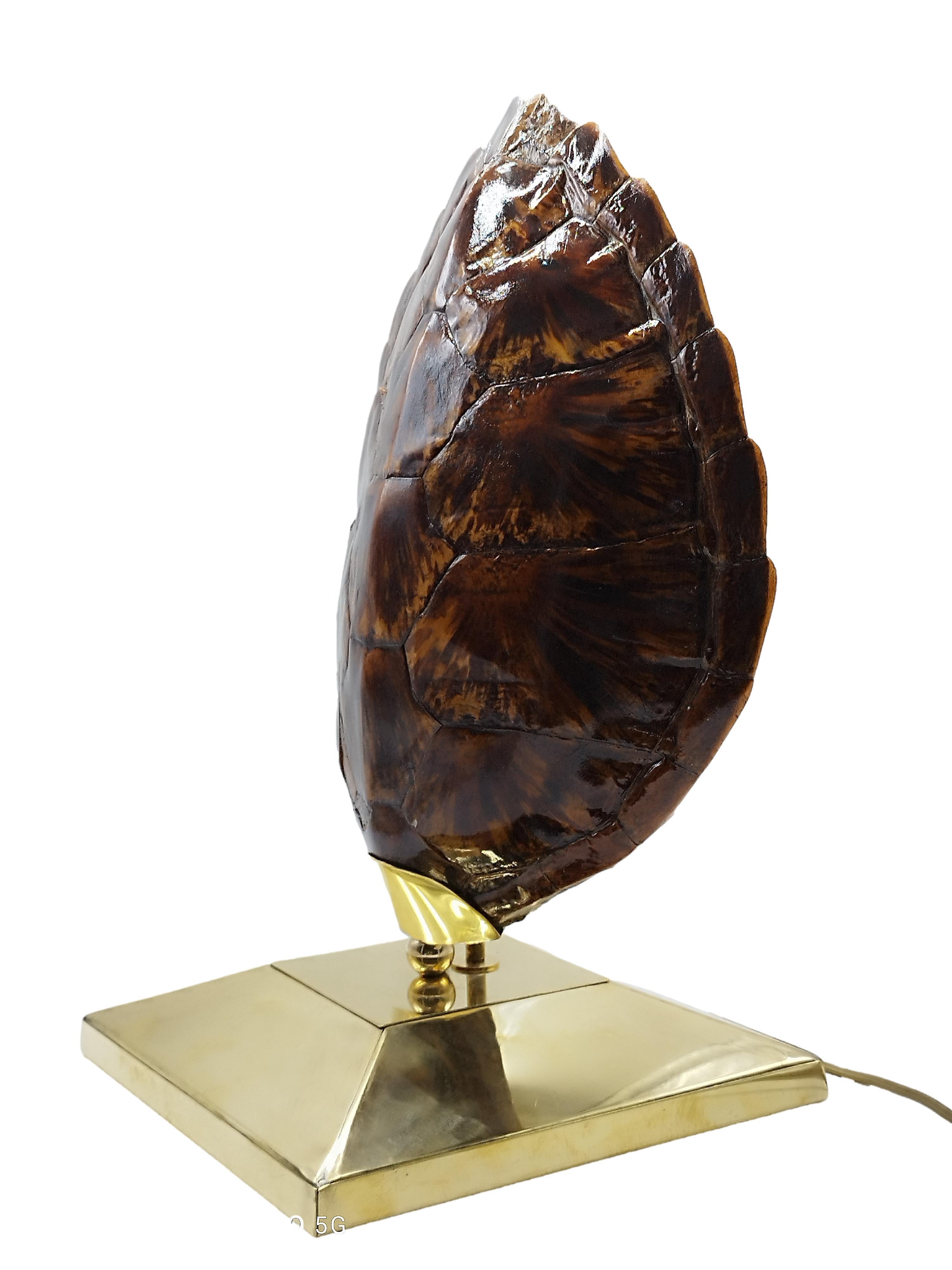 Mid-Century Modern Turtle Tortoise Shell Table Lamp, Italy 1970s For Sale
