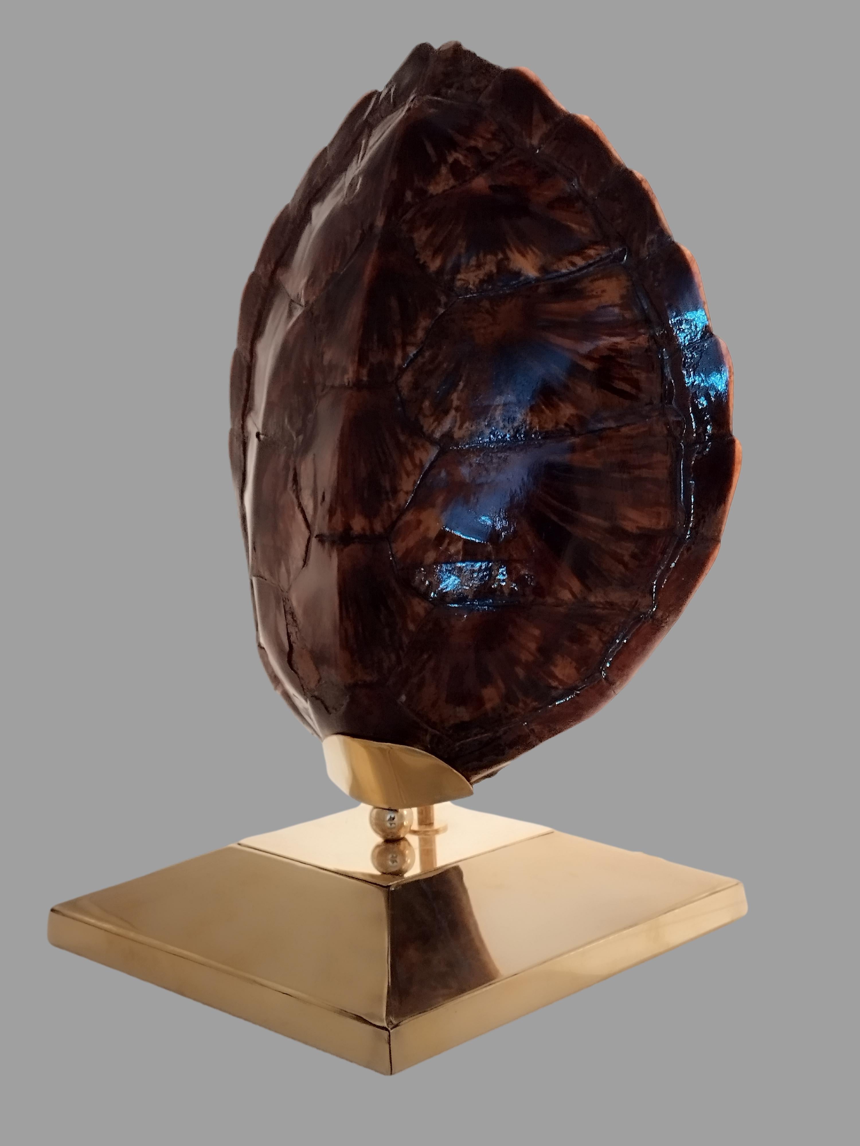 Turtle Tortoise Shell Table Lamp, Italy 1970s In Good Condition For Sale In Naples, IT