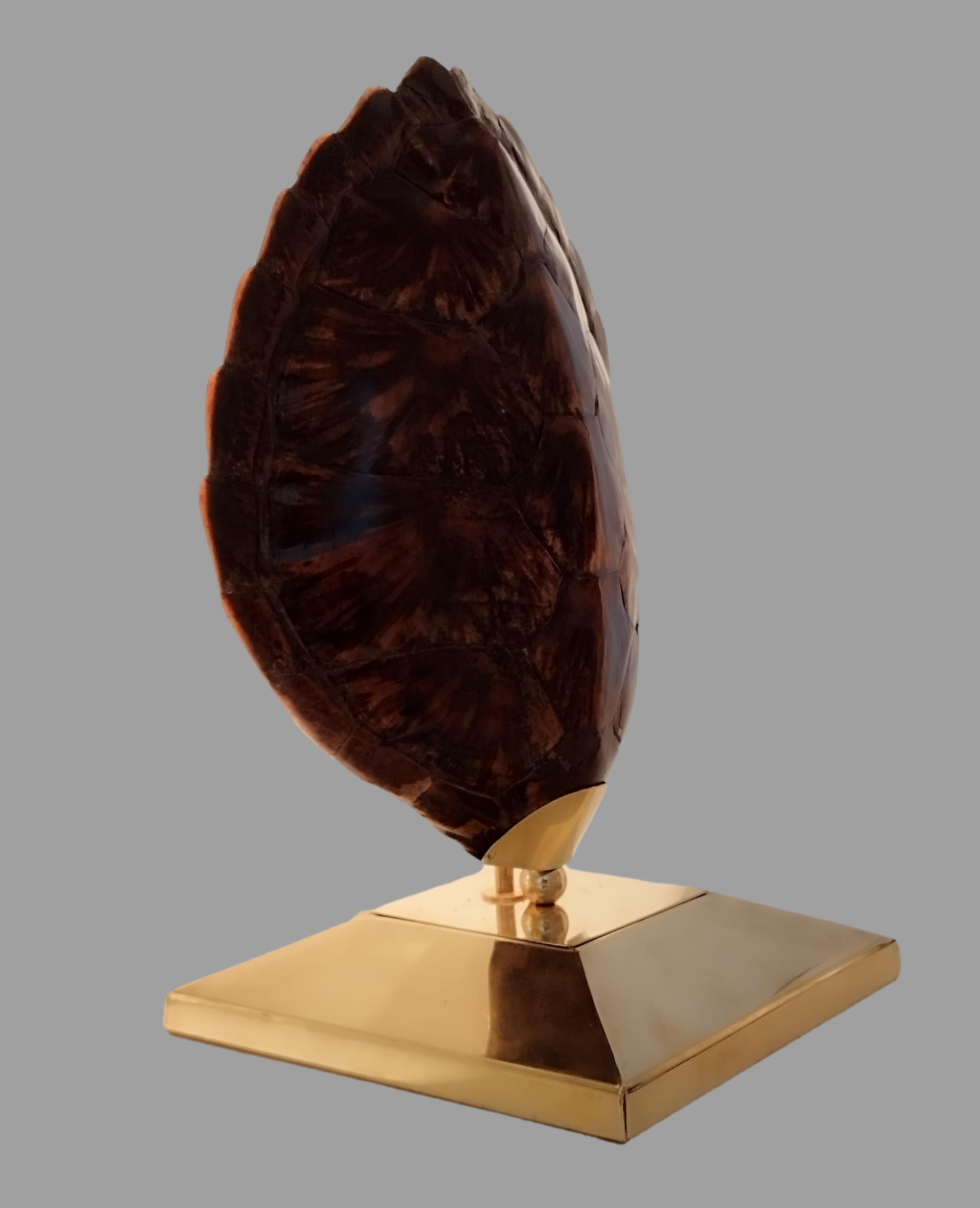 Brass Turtle Tortoise Shell Table Lamp, Italy 1970s For Sale