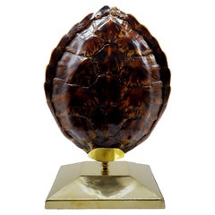 Vintage Turtle Tortoise Shell Table Lamp, Italy 1970s