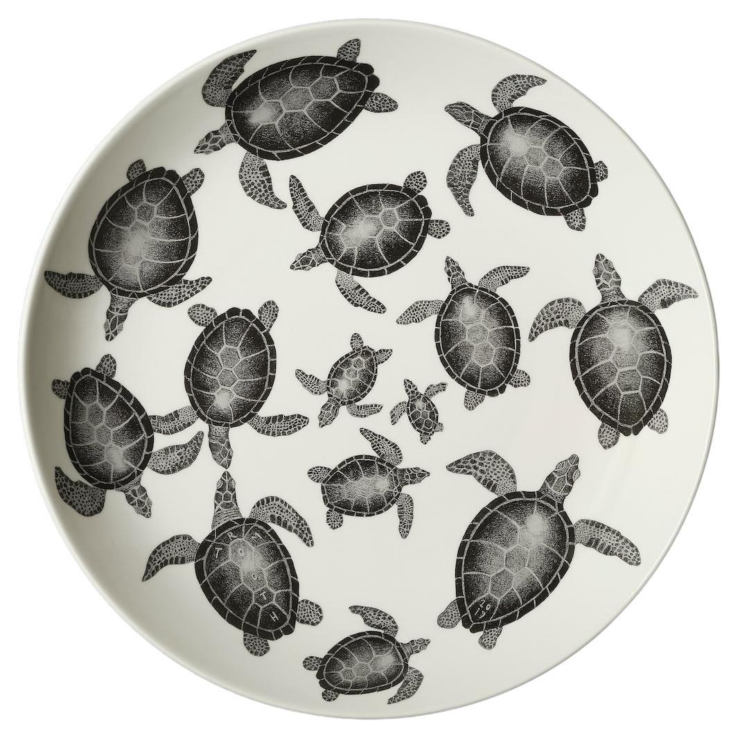 Turtle traffic by Tom Rooth For Sale