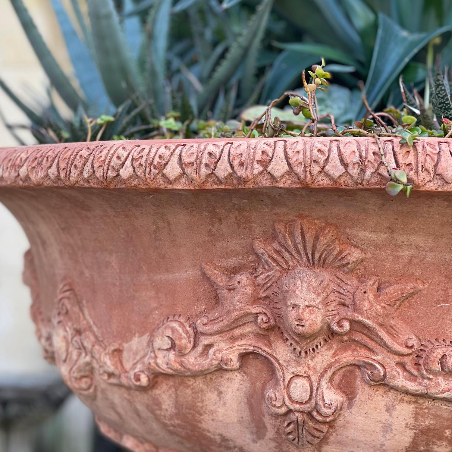 Contemporary Tuscan Terra Cotta Planter: Fioraia Tondo For Sale