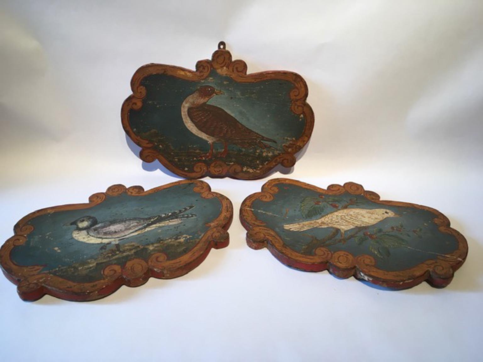 Italy Late 18th Century Set 3 Wooden Birds Painted Panels Boards 6