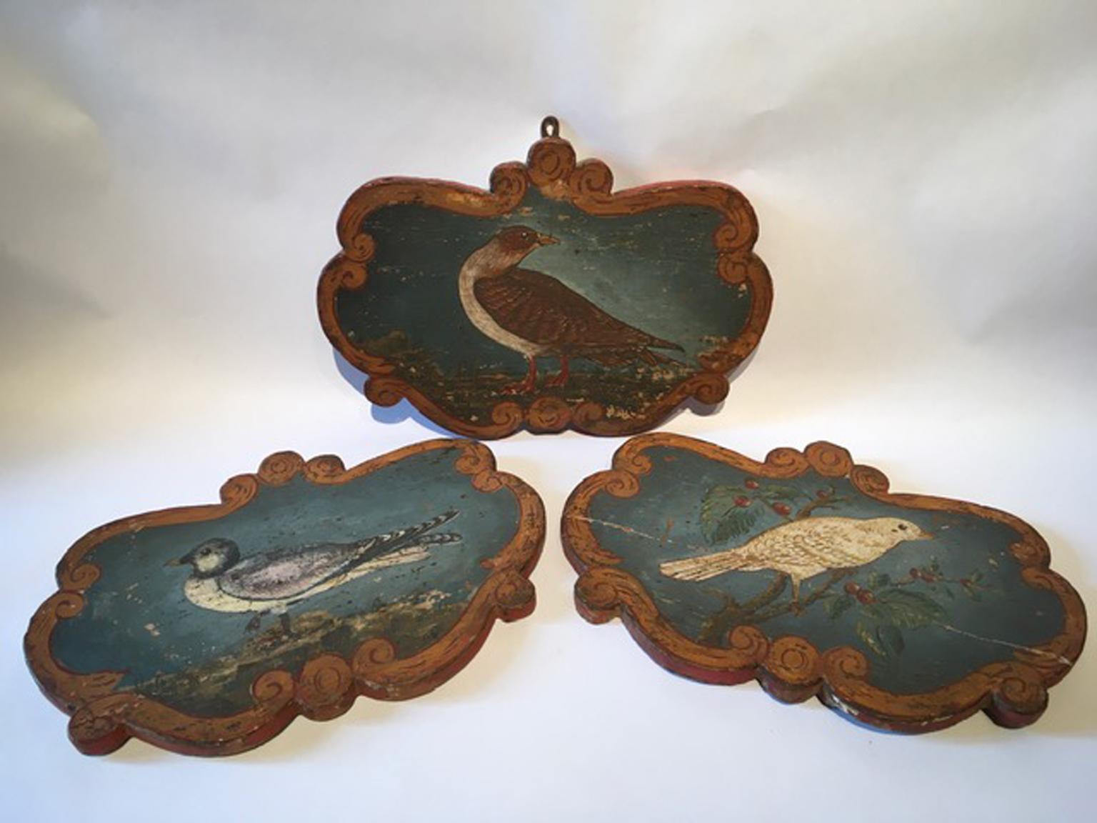 Italy Late 18th Century Set 3 Wooden Birds Painted Panels Boards 7