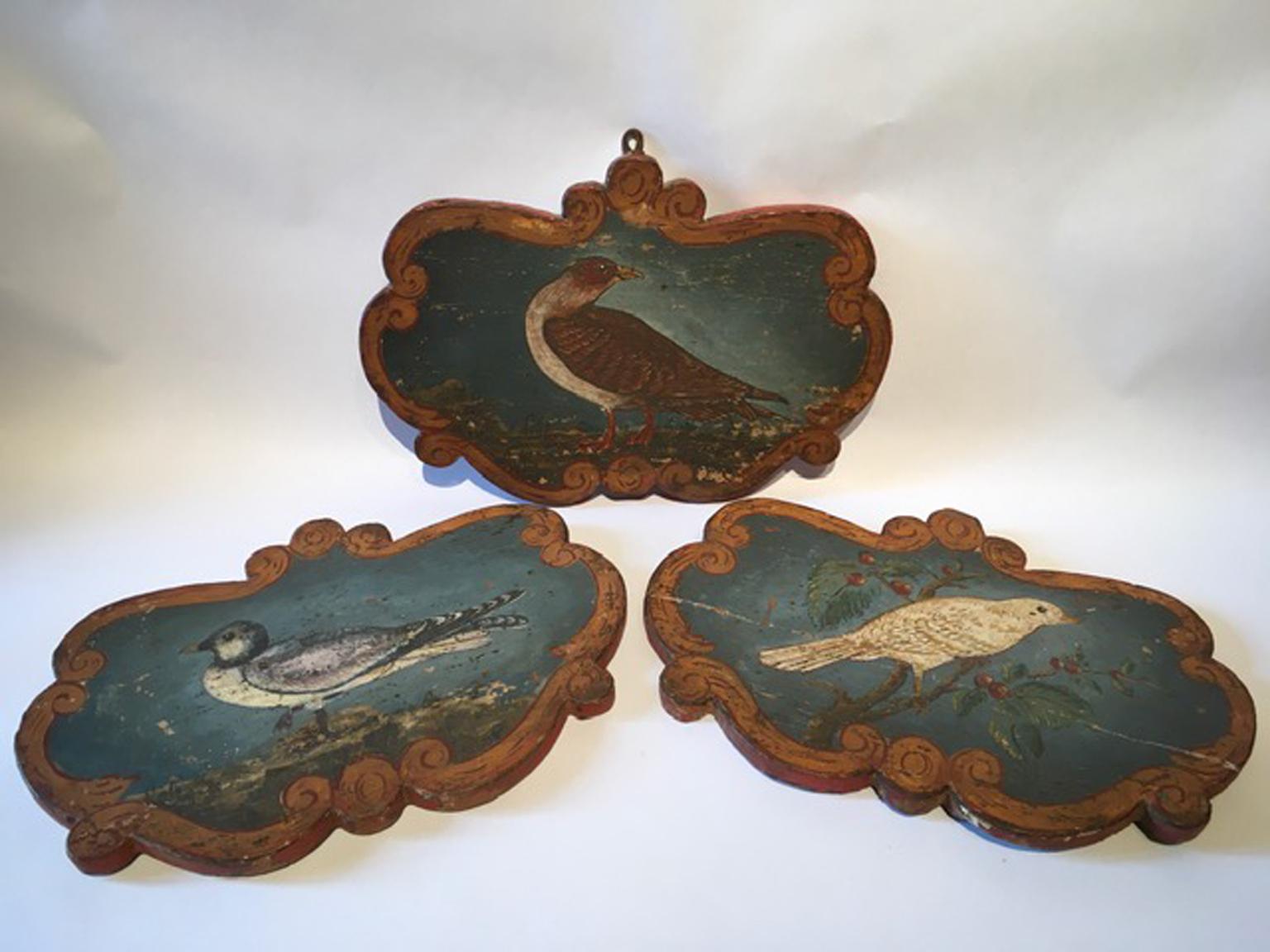 Italy Late 18th Century Set 3 Wooden Birds Painted Panels Boards 12