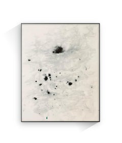 Pintura negra, agua y plantas, fractales, paisaje orgánico, espiral dorada